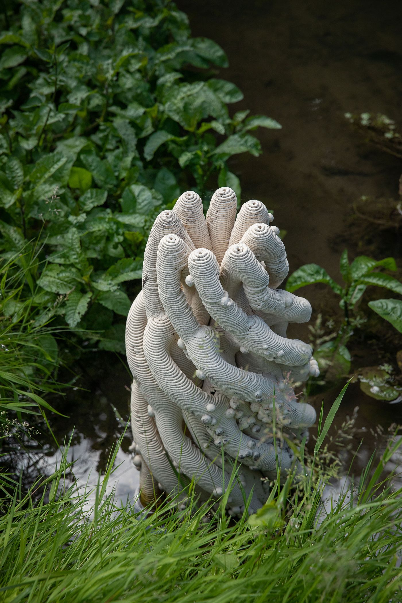 A sculptural arrangement of white, twisting forms resembling coral, surrounded by green foliage and calm water. A sculptural arrangement of white, twisting forms resembling coral, surrounded by green foliage and calm water.