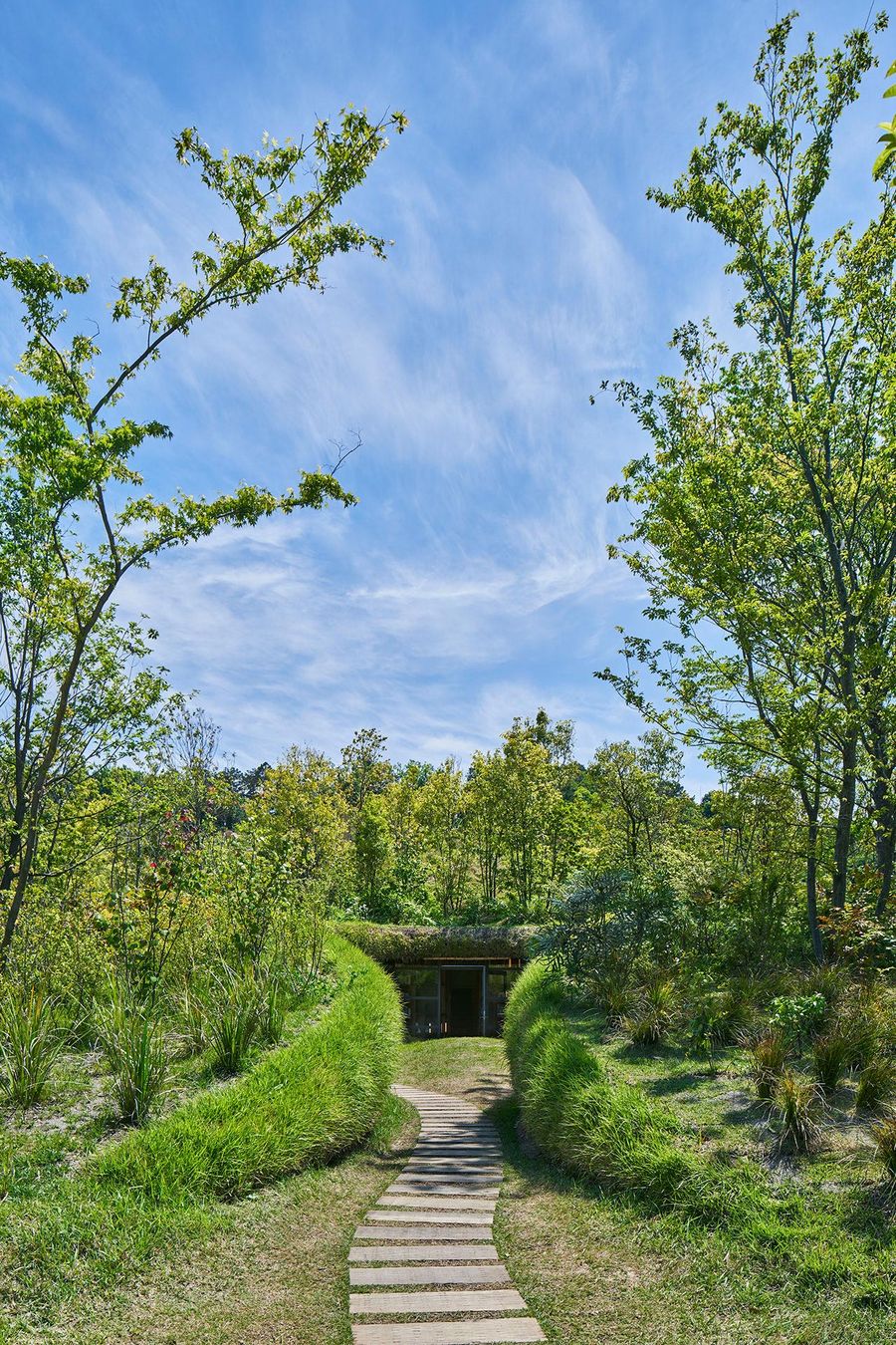 A winding wooden path leads through lush greenery to a small entrance nestled among trees under a clear blue sky. A winding wooden path leads through lush greenery to a small entrance nestled among trees under a clear blue sky.