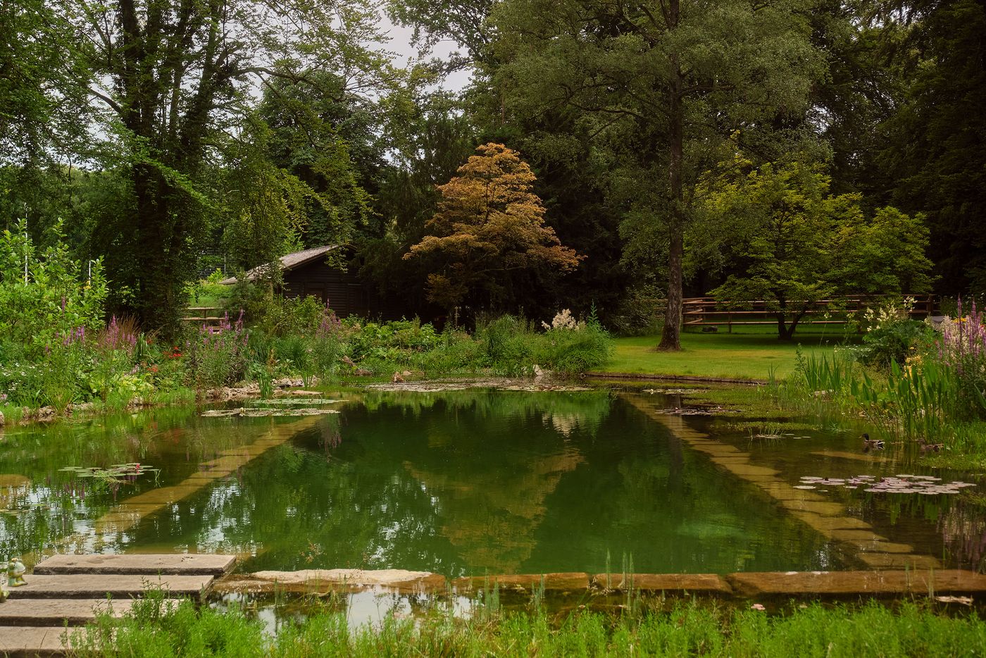 A peaceful garden scene featuring a tranquil pond, lush greenery, and a wooden structure nestled among vibrant foliage. A peaceful garden scene featuring a tranquil pond, lush greenery, and a wooden structure nestled among vibrant foliage.
