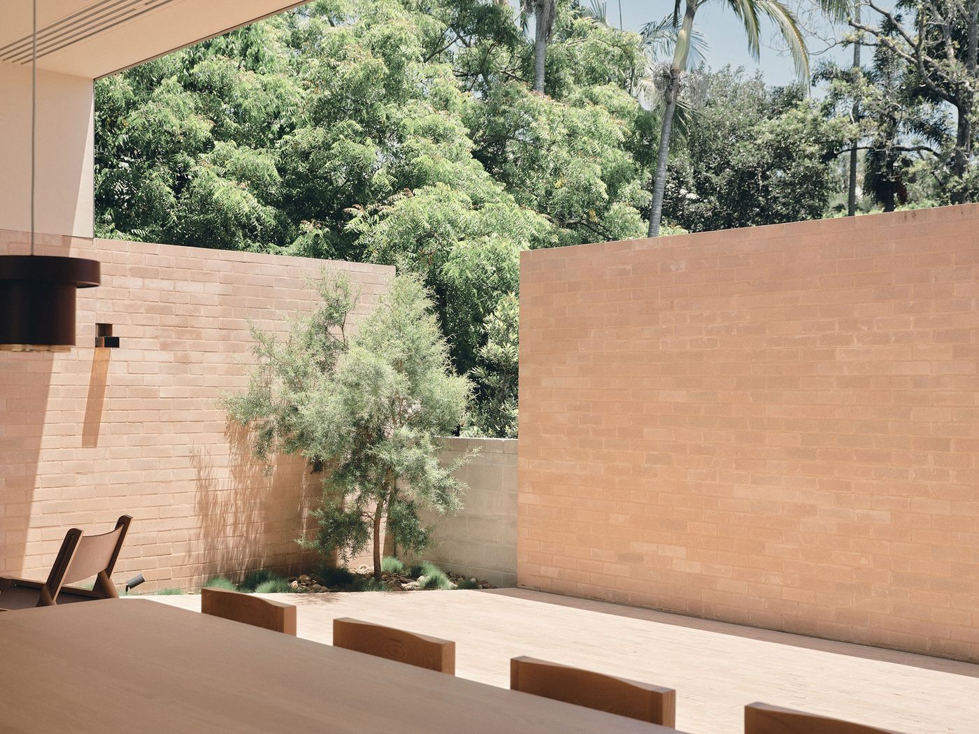 A serene outdoor space featuring a sandy beige wall, a small tree, and lush green foliage under bright sunlight. A serene outdoor space featuring a sandy beige wall, a small tree, and lush green foliage under bright sunlight.