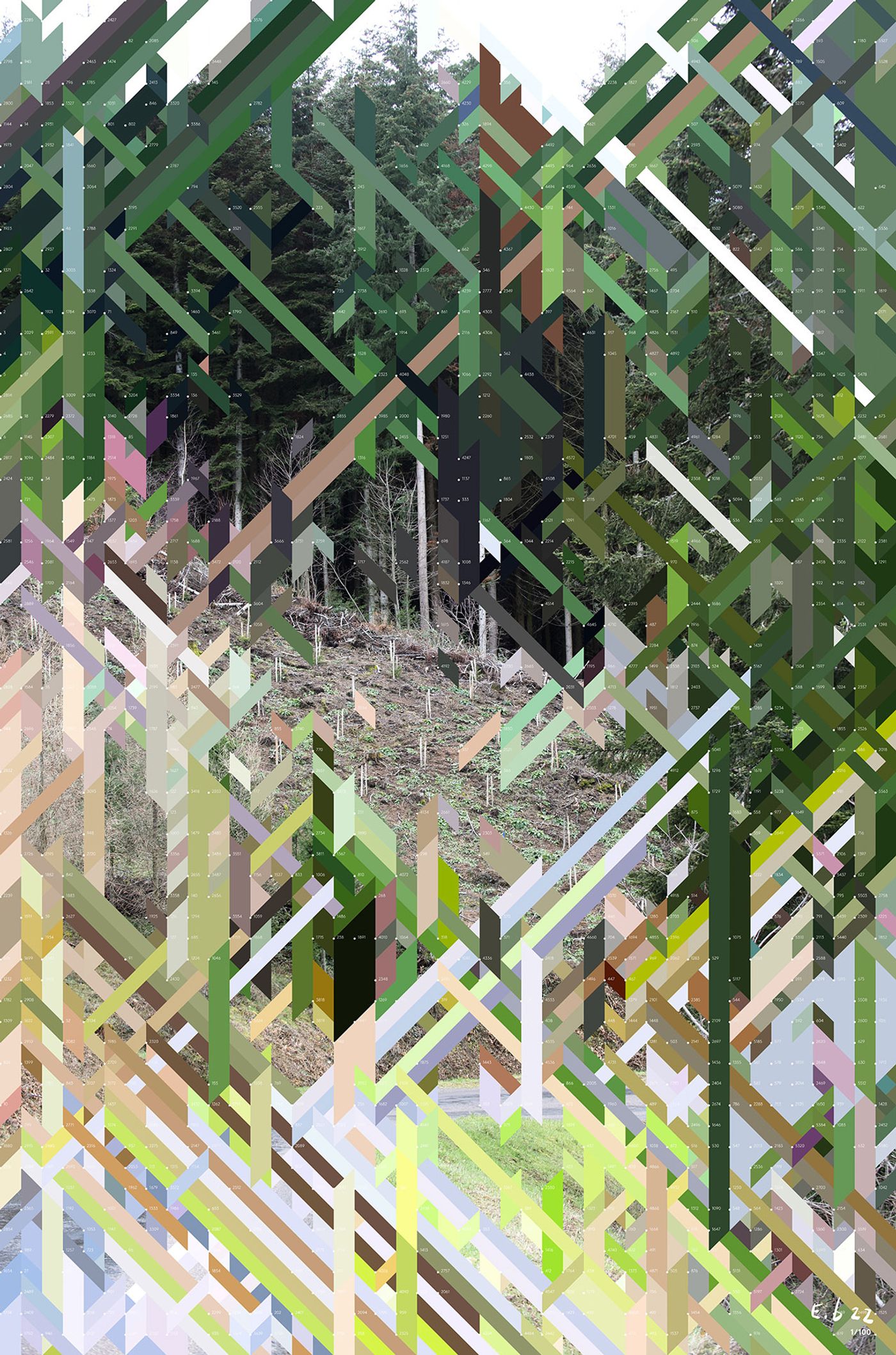 Erwan Bouroullec, REPLANTED FIR, 2022.
Editions of 50, signed (digitally) and numbered. Digitally printed onto 300gsm Platinum Etching paper. Print size: 595 × 895mm.
From The Impossible series by Erwan Bouroullec. Courtesy of Ronan &amp; Erwan Bouroullec studio.