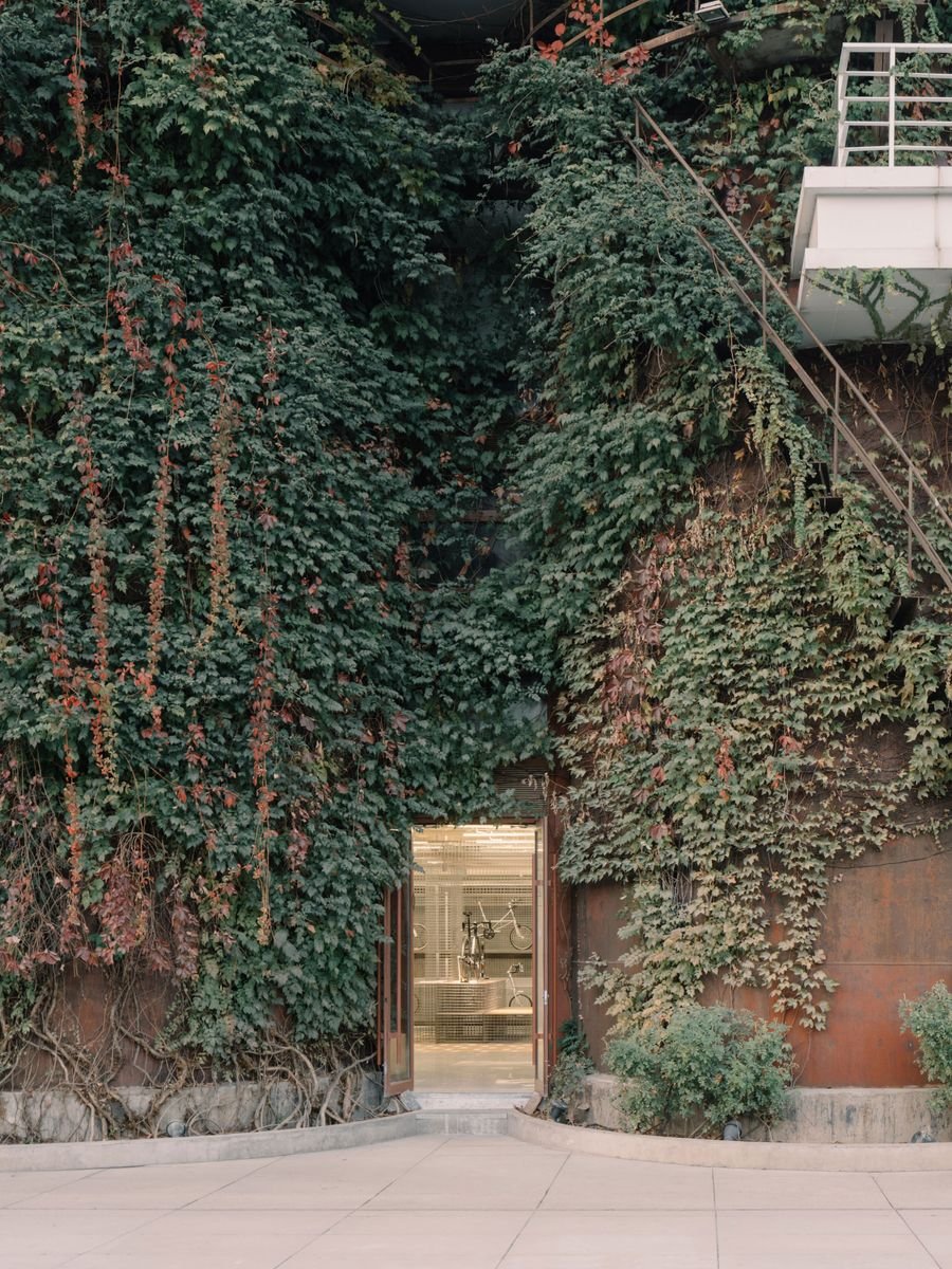A captivating blend of industrial decay and natural reclamation, this image captures a rust-patinated wall, dramatically covered in lush, sprawling ivy. A single, illuminated glass doorway pierces the verdant facade, offering a tantalizing glimpse into the minimalist interior, where a bicycle is subtly visible, highlighting the biophilic design integration. A captivating blend of industrial decay and natural reclamation, this image captures a rust-patinated wall, dramatically covered in lush, sprawling ivy. A single, illuminated glass doorway pierces the verdant facade, offering a tantalizing glimpse into the minimalist interior, where a bicycle is subtly visible, highlighting the biophilic design integration.