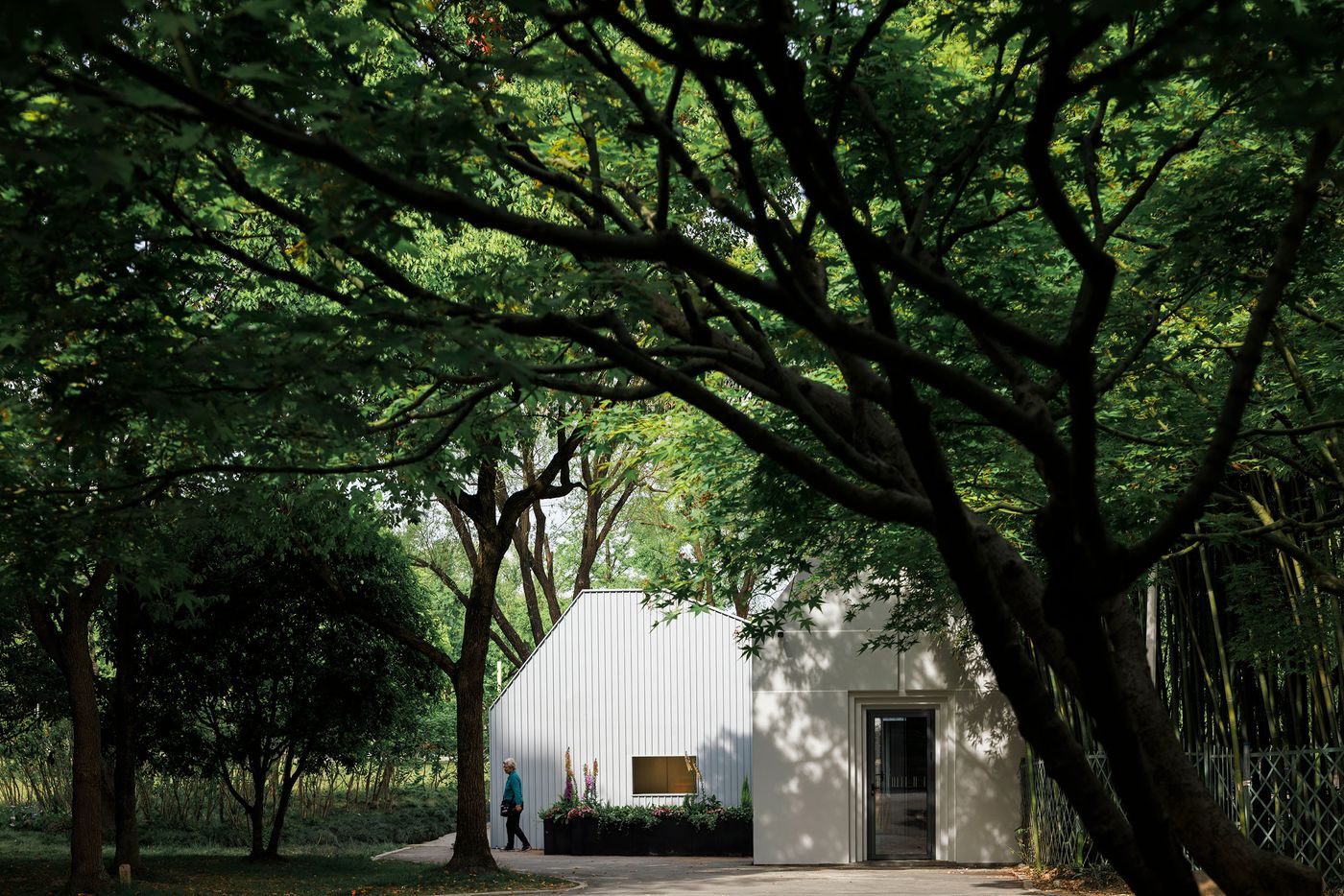 Nestled amongst a canopy of deep green trees, a portion of Wutopia Lab's Lake House emerges with its distinctive white corrugated facade and a subtly gabled roof. A person walks along a pathway, dwarfed by the dramatic, twisting branches of the surrounding trees. The scene evokes a tranquil, almost hidden modern retreat, deeply integrated into its natural, biophilic setting.