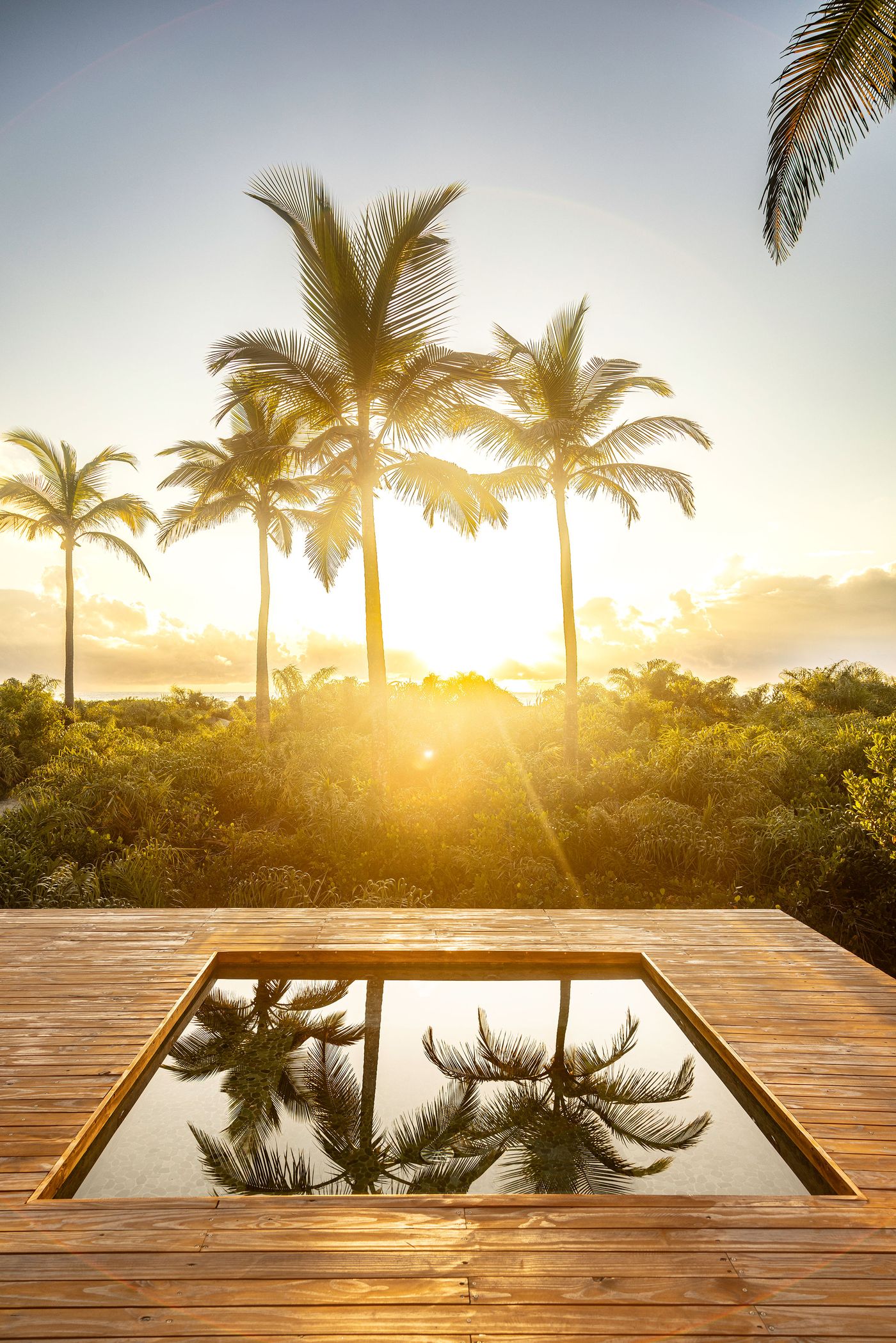 A small, reflective plunge pool set into a wooden deck mirrors the silhouettes of palm trees and the golden glow of a sunset. The composition, dominated by warm light and natural textures, creates a serene, inviting atmosphere that emphasizes connection to the tropical landscape. A small, reflective plunge pool set into a wooden deck mirrors the silhouettes of palm trees and the golden glow of a sunset. The composition, dominated by warm light and natural textures, creates a serene, inviting atmosphere that emphasizes connection to the tropical landscape.