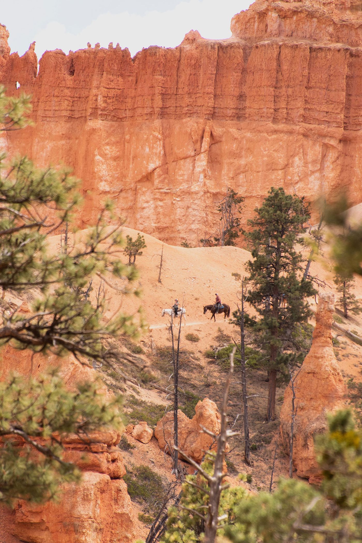Bryce Canyon National Park. Photography by Kim and Nash Finley.