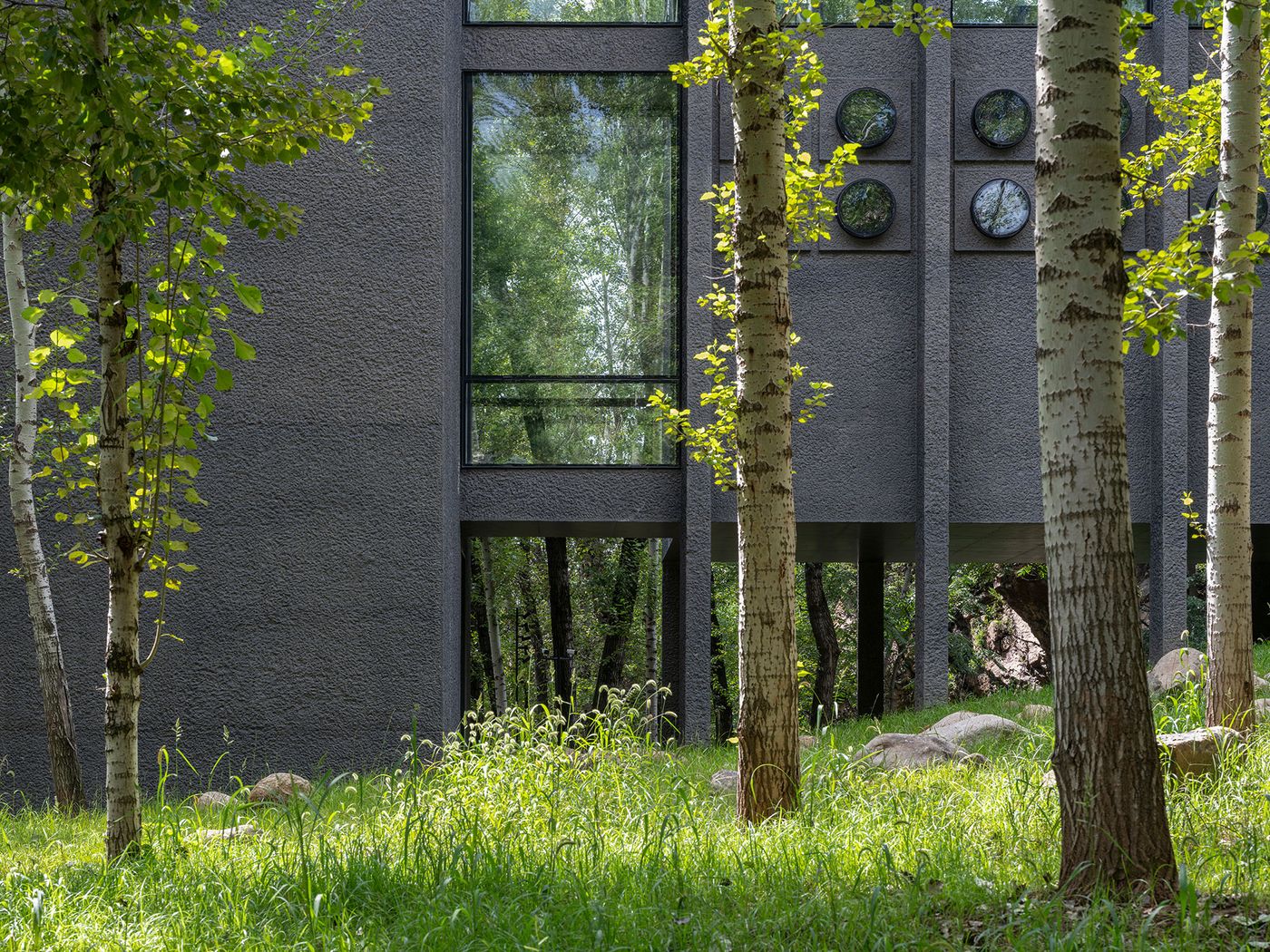 A modern, gray building with large windows and circular accents, surrounded by tall trees and lush grass in a serene woodland setting.