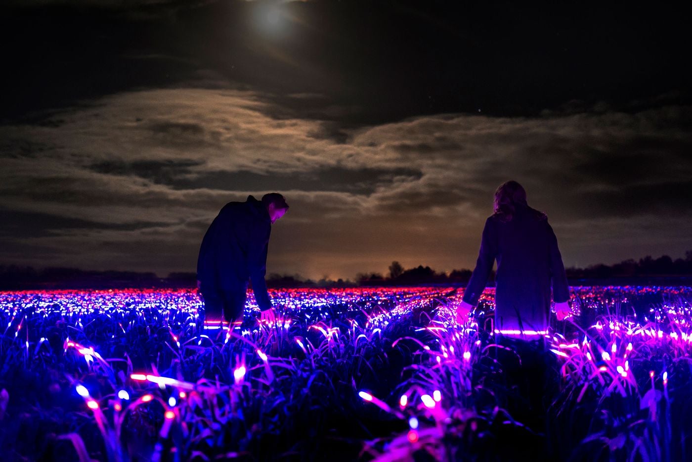 GROW: Daan Roosegaarde's Light Installation Poetically Heralds the