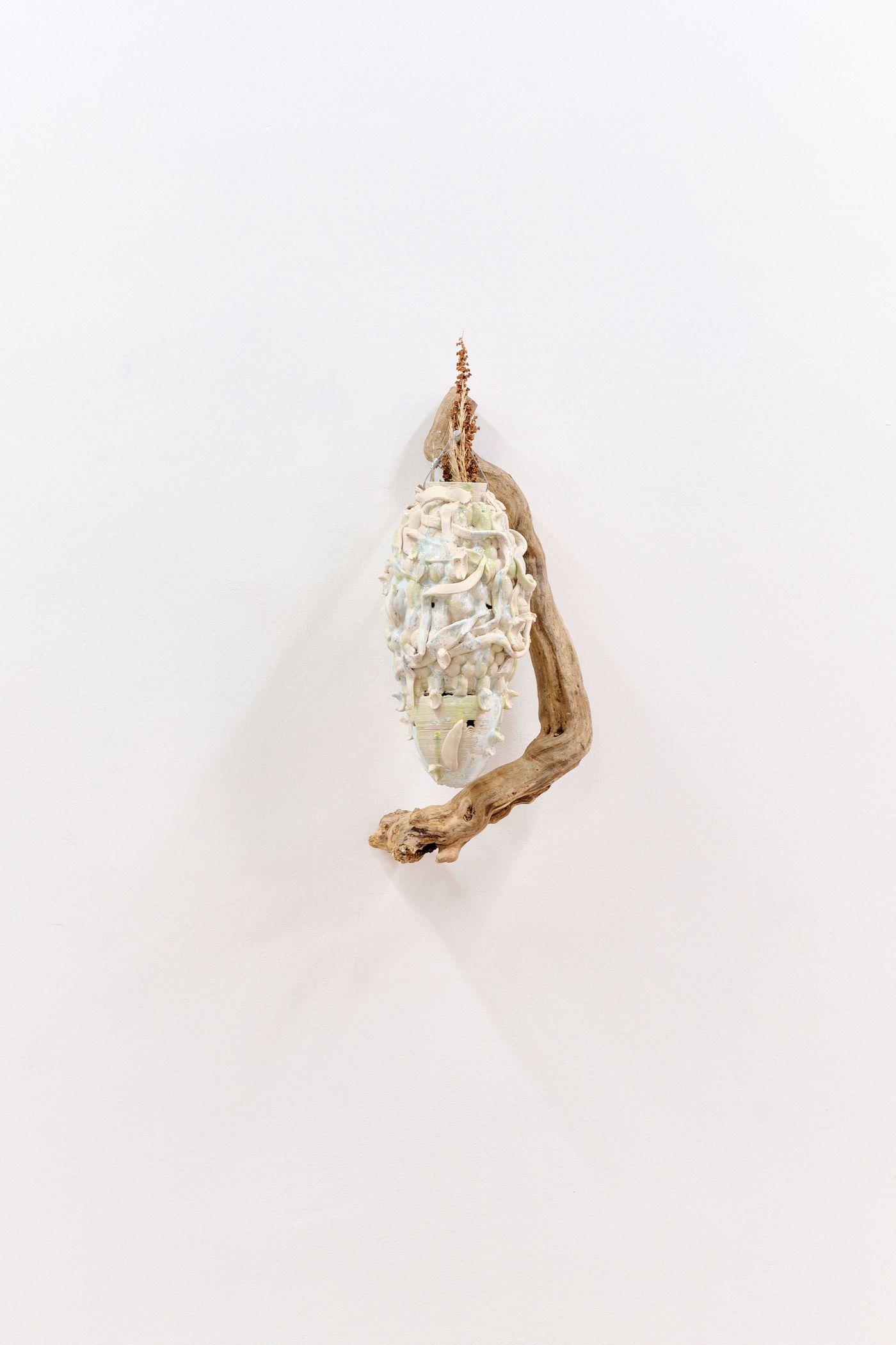 An abstract sculpture of a textured, pale nest entwined with driftwood, suspended against a white wall.