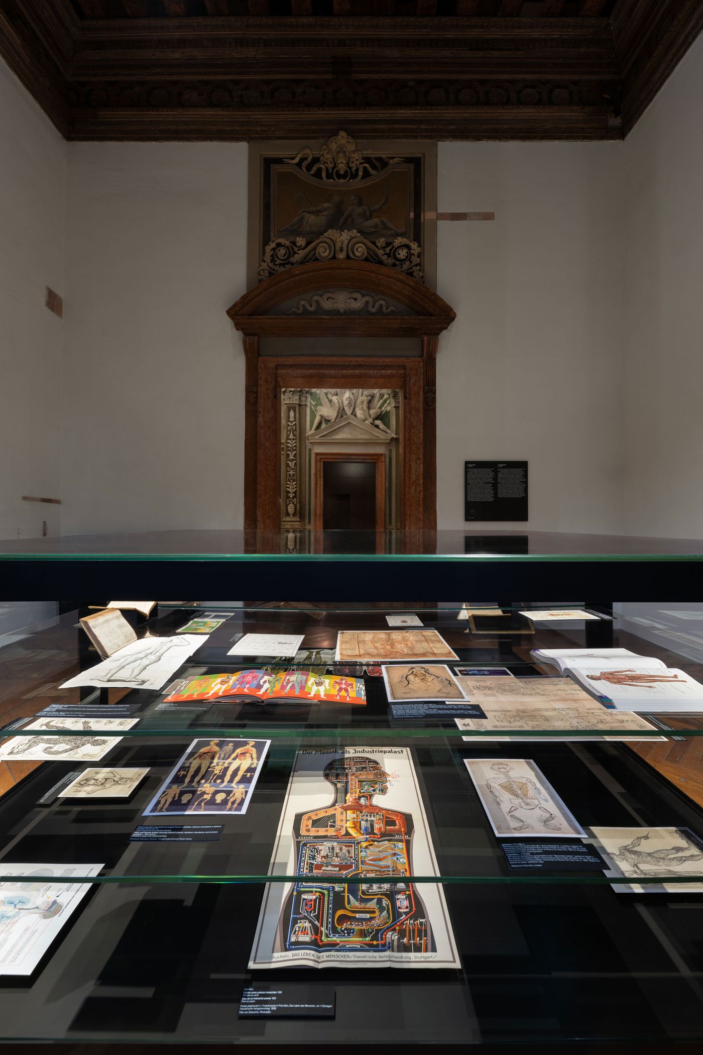 A display table of diverse artistic works and anatomical illustrations in a museum, with a decorated doorway in the background. A display table of diverse artistic works and anatomical illustrations in a museum, with a decorated doorway in the background.