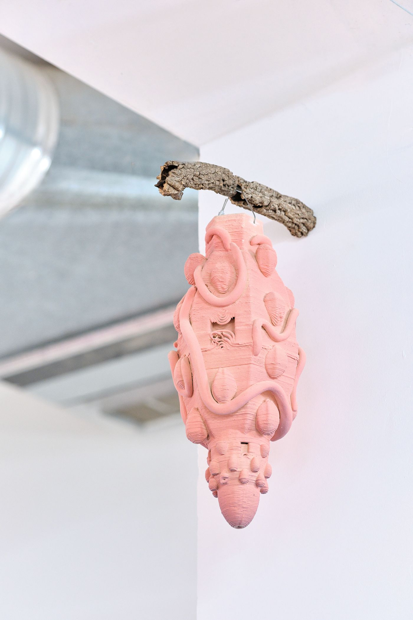 A pink ceramic sculpture resembling an abstract sea creature, hanging from a wooden branch against a white wall.