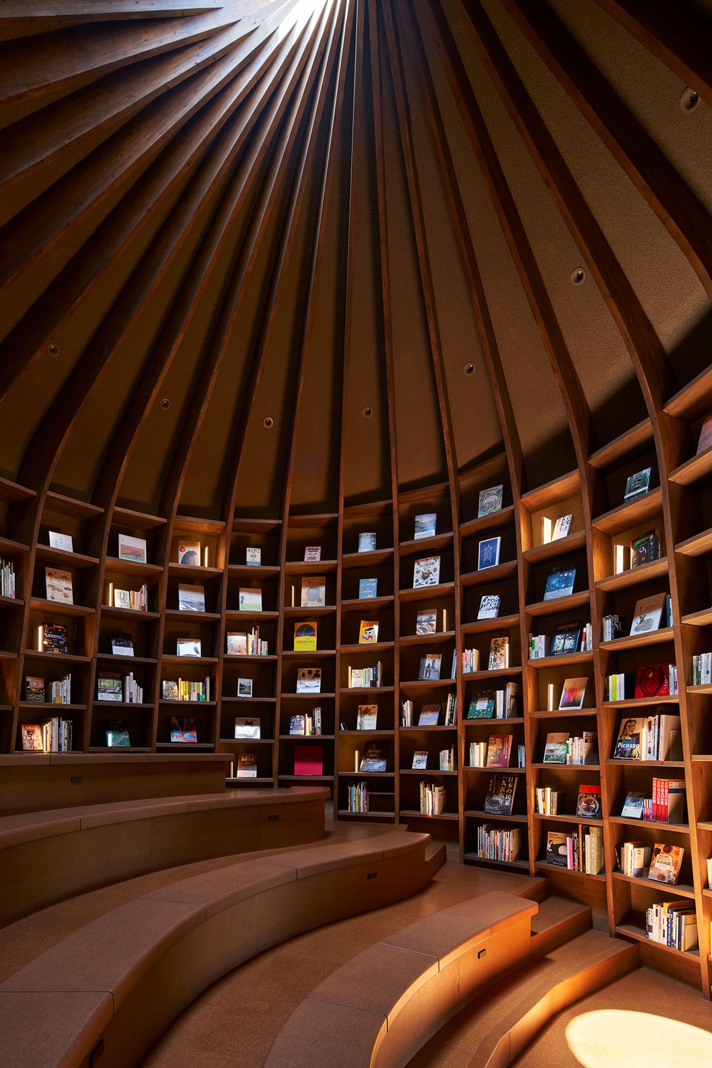 A spacious, circular library with wooden shelves filled with books, illuminated by natural light filtering through a domed ceiling. A spacious, circular library with wooden shelves filled with books, illuminated by natural light filtering through a domed ceiling.