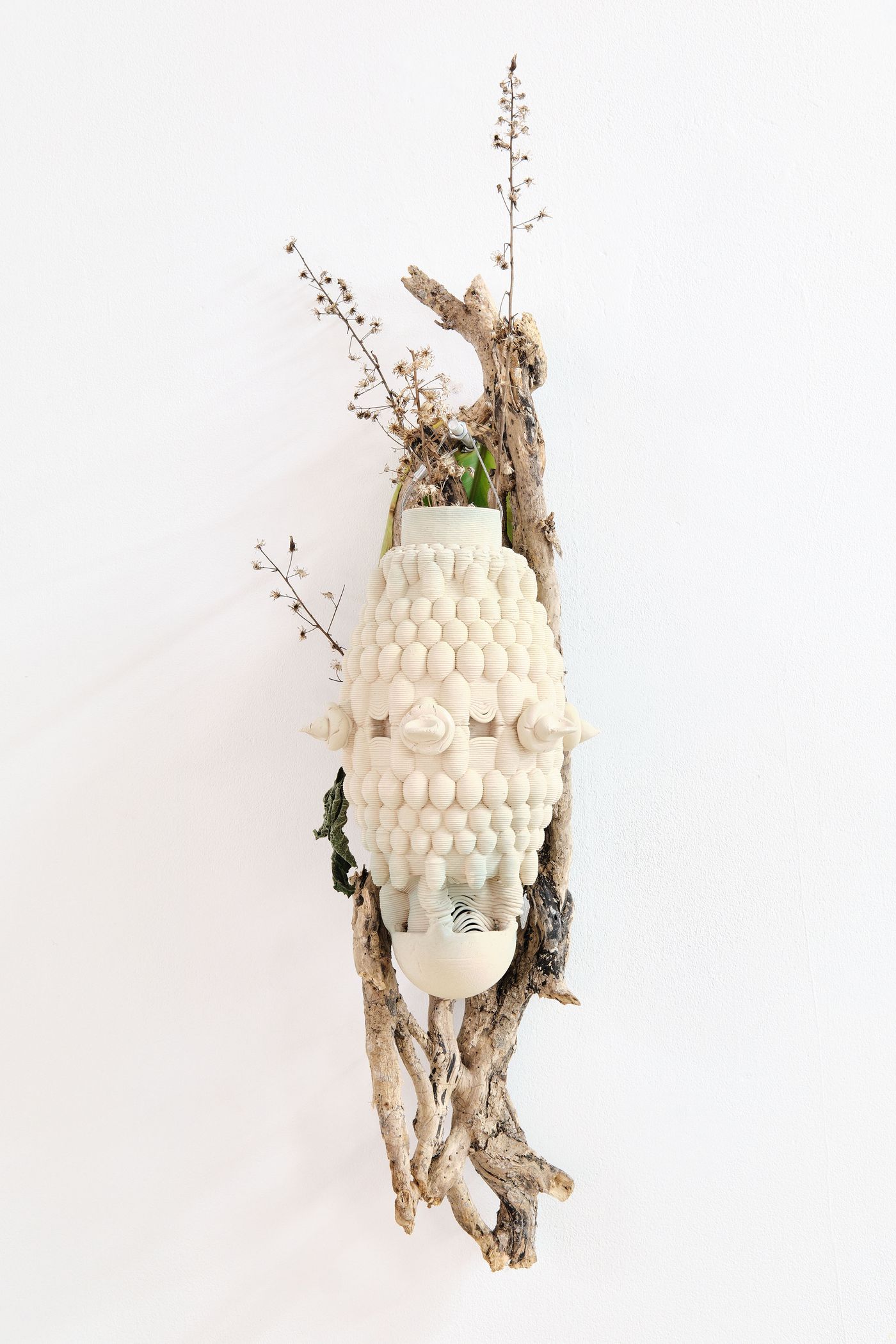 A unique ceramic vase adorned with textured, circular patterns, mounted on driftwood, showcasing dried plants against a white wall. A unique ceramic vase adorned with textured, circular patterns, mounted on driftwood, showcasing dried plants against a white wall.