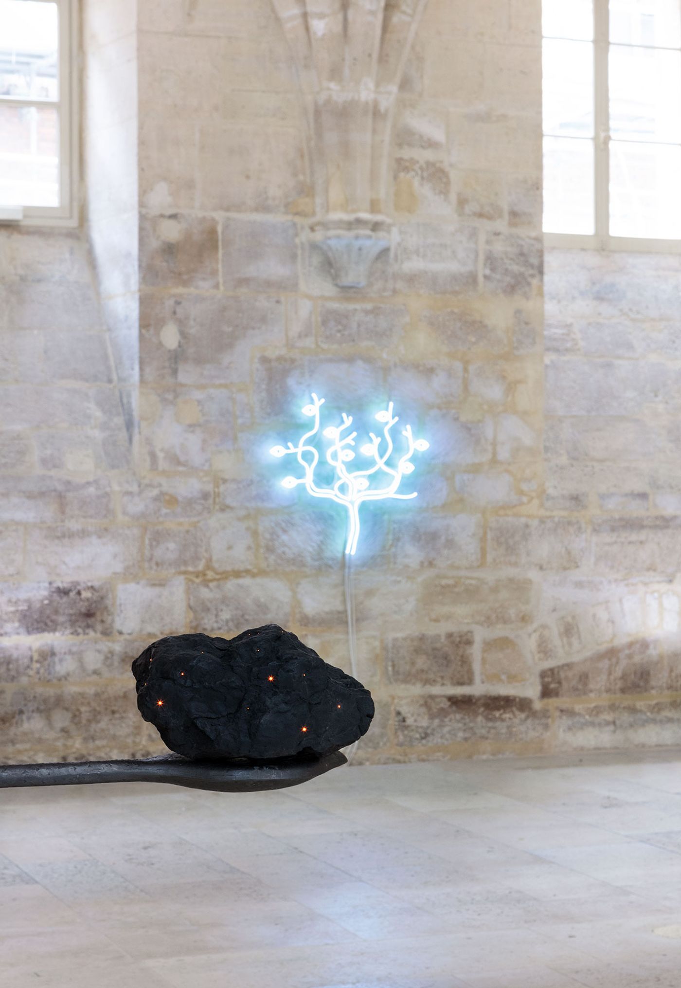 Installation view of Laurent Grasso's exhibition ANIMA at Collège des Bernardins, Paris, 2022. Photo Tanguy Beurdeley © Laurent Grasso - ADAGP, Paris 2022. Courtesy Perrotin.