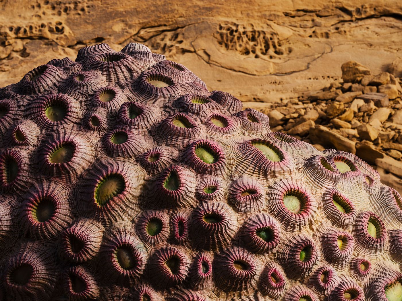 Shezad Dawood, Coral Alchemy II (Porites Columnaris), installation view, Desert X AlUla 2022. Courtesy of the artist and Desert X AlUla. Photo Lance Gerber.
