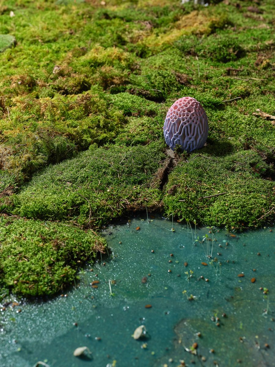 A colorful, textured egg rests on vibrant green moss near a small, reflective pond. Soft natural elements surround it. A colorful, textured egg rests on vibrant green moss near a small, reflective pond. Soft natural elements surround it.
