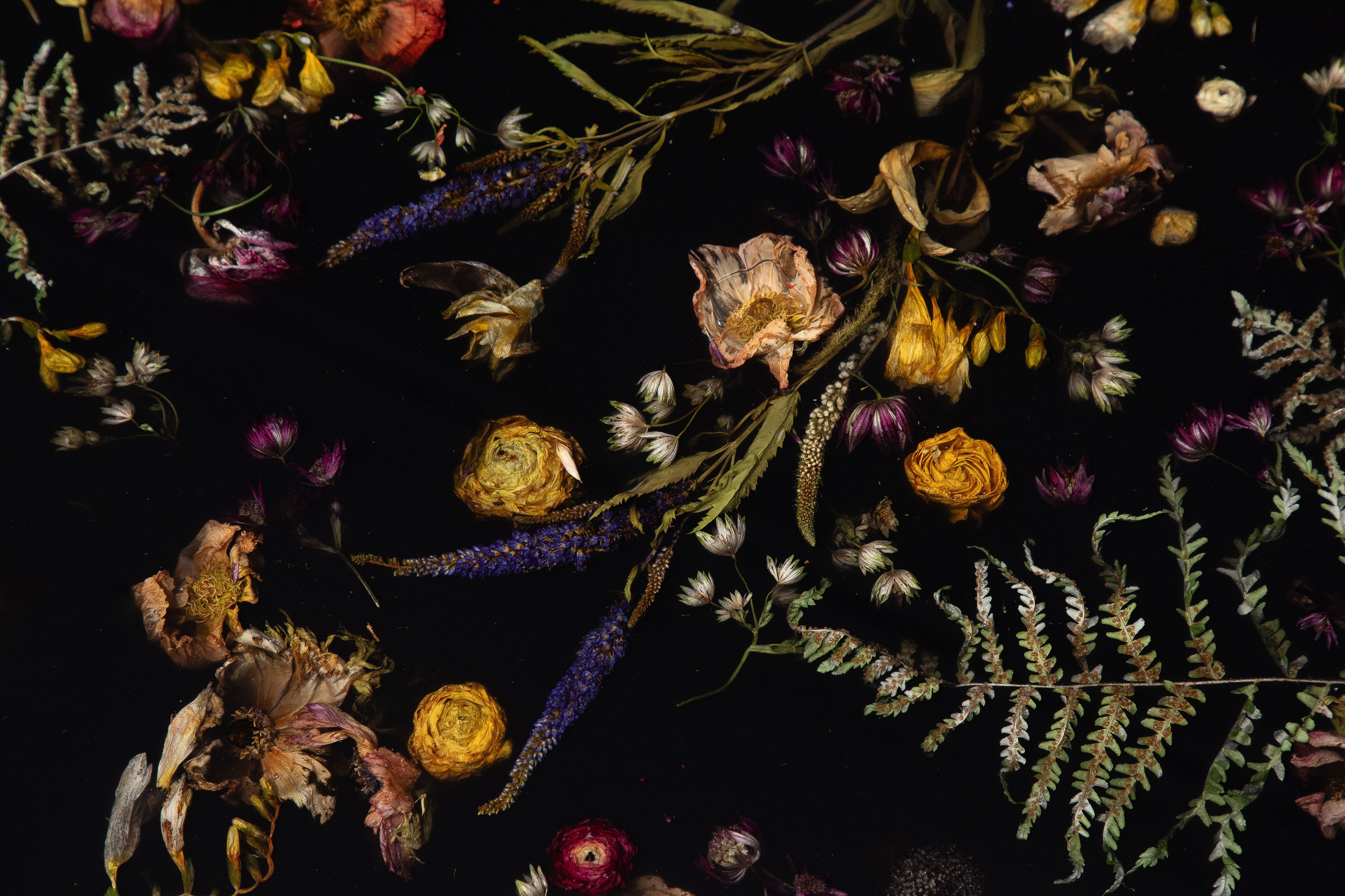 Designing with Time: Marcin Rusak’s Floral Alchemy