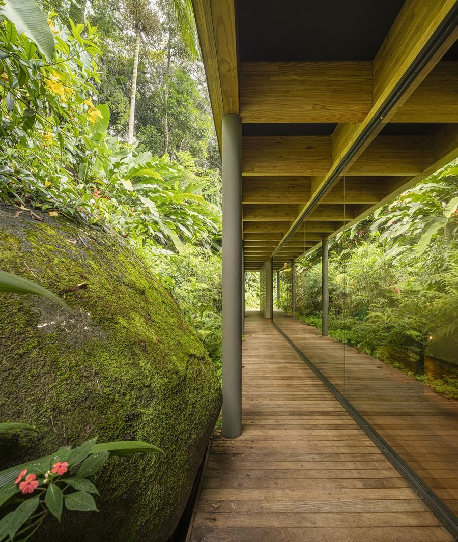 A long, open-air walkway featuring rich timber decking extends alongside a massive, moss-covered boulder, reflecting the surrounding tropical forest in its glass facade. The deep perspective emphasizes the seamless integration of natural elements with the modernist structure, creating a tranquil biophilic pathway. A long, open-air walkway featuring rich timber decking extends alongside a massive, moss-covered boulder, reflecting the surrounding tropical forest in its glass facade. The deep perspective emphasizes the seamless integration of natural elements with the modernist structure, creating a tranquil biophilic pathway.