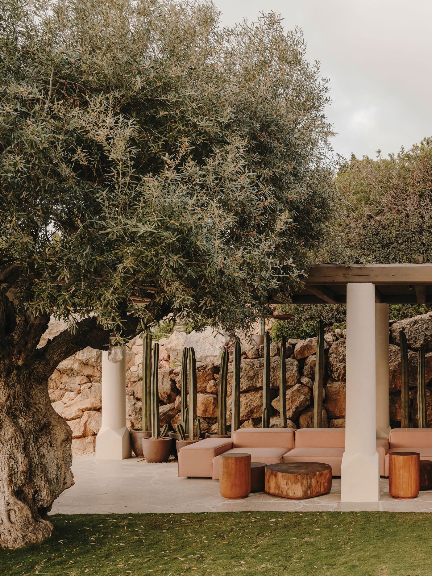 A serene outdoor seating area with an olive tree, minimalist furniture, and tall cacti against a rocky backdrop. Natural and cozy atmosphere. A serene outdoor seating area with an olive tree, minimalist furniture, and tall cacti against a rocky backdrop. Natural and cozy atmosphere.