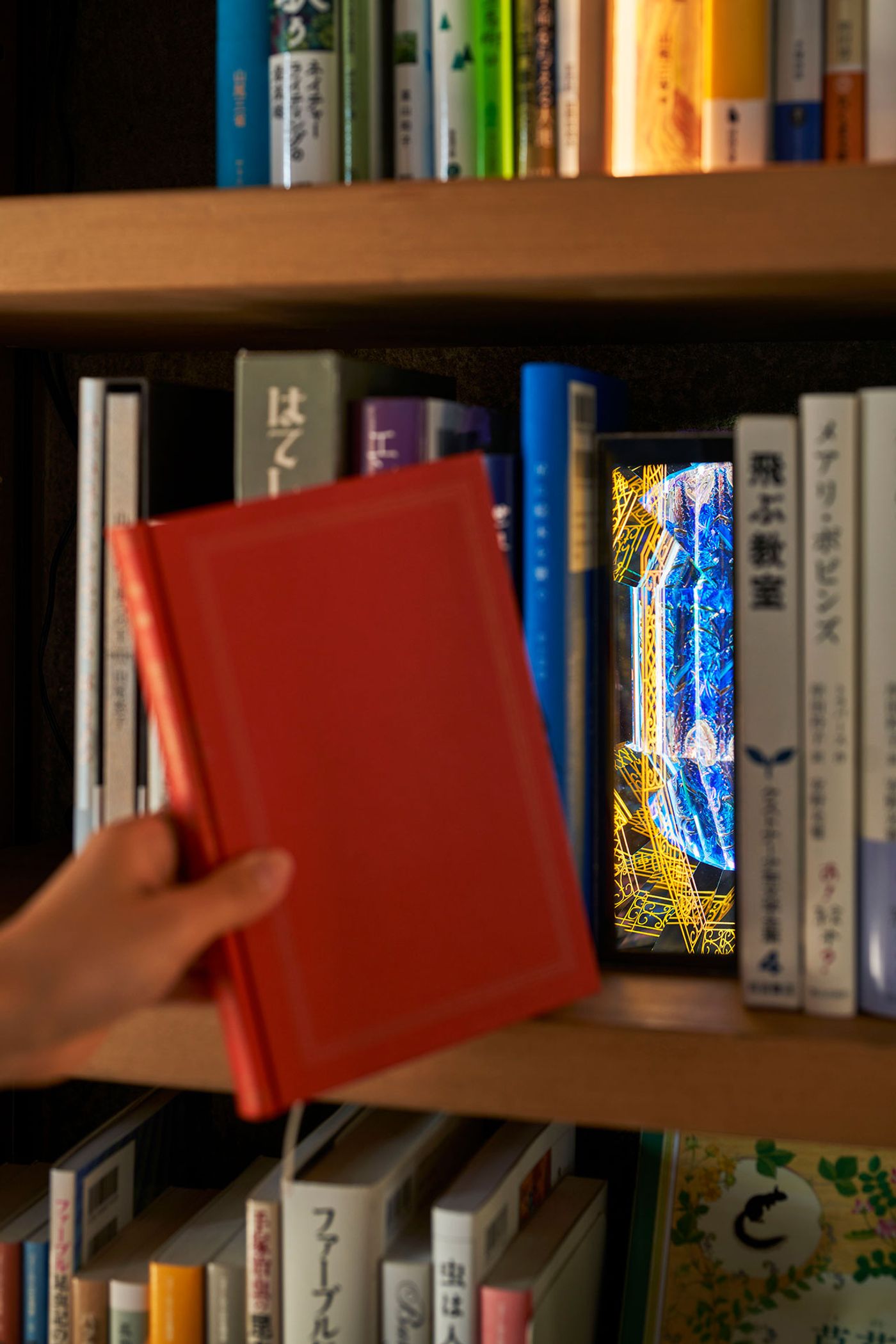 A hand holds a red book, while a glowing, intricate design peeks from behind colorful books on a wooden shelf. A hand holds a red book, while a glowing, intricate design peeks from behind colorful books on a wooden shelf.