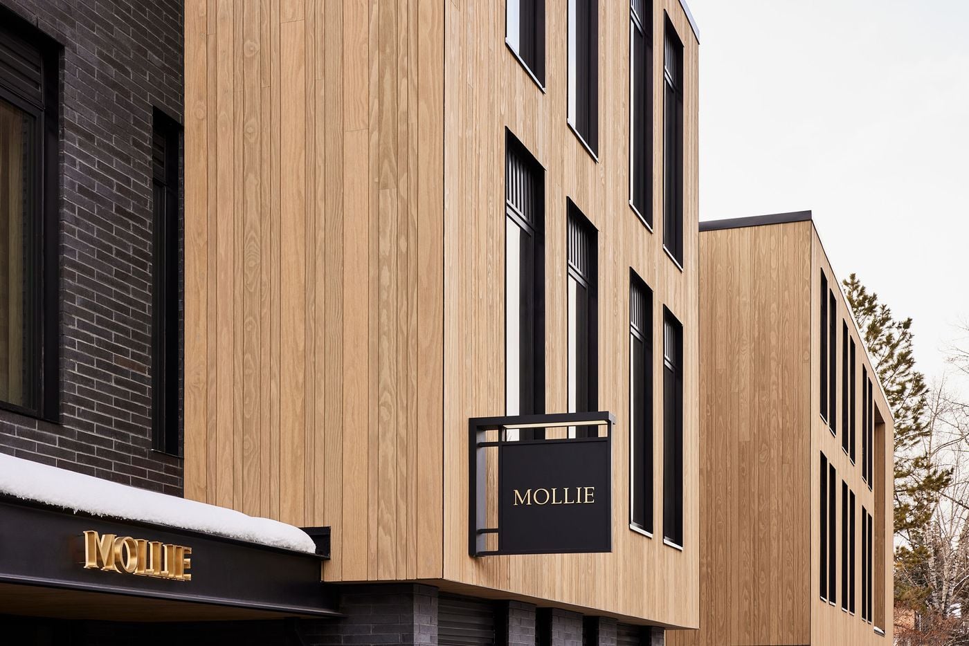 MOLLIE: A Boutique Hotel in Aspen Channels the Colorado Ski Town's ...