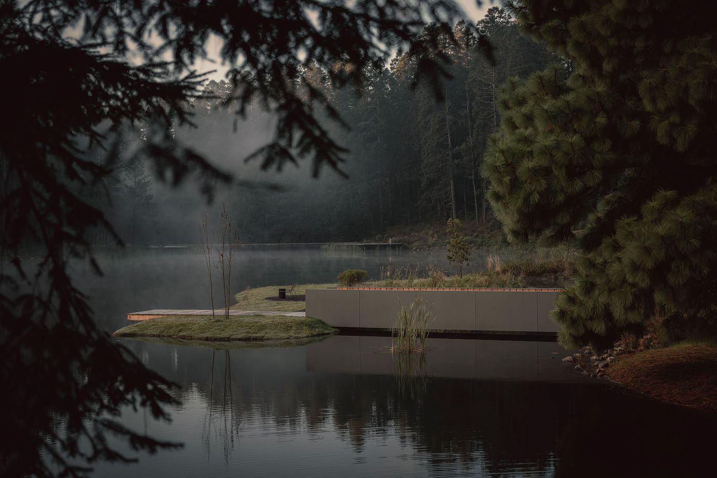 A serene lakeside scene at dawn, framed by trees, with mist rising over calm water and a minimalist dock surrounded by lush greenery.