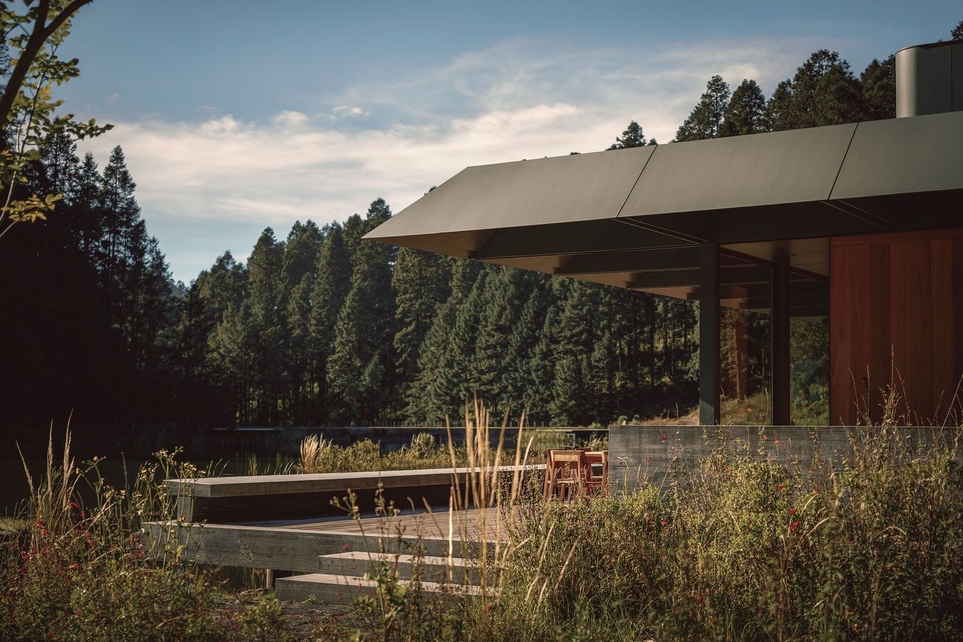 Modern architecture blends with nature, featuring a sleek building overlooking a serene pond, surrounded by lush trees and wildflowers.