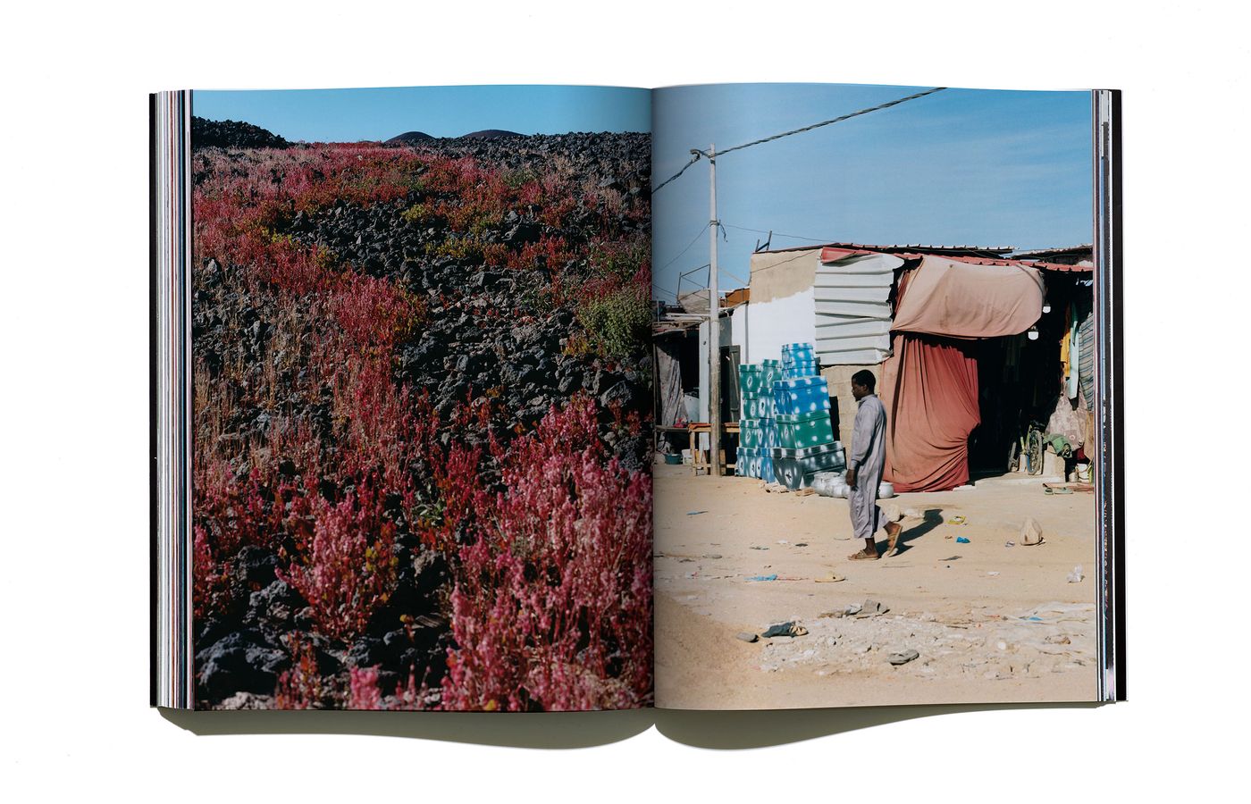 A vivid book spread showing a rocky landscape with colorful plants on the left and a makeshift dwelling with stacked bottles on the right.