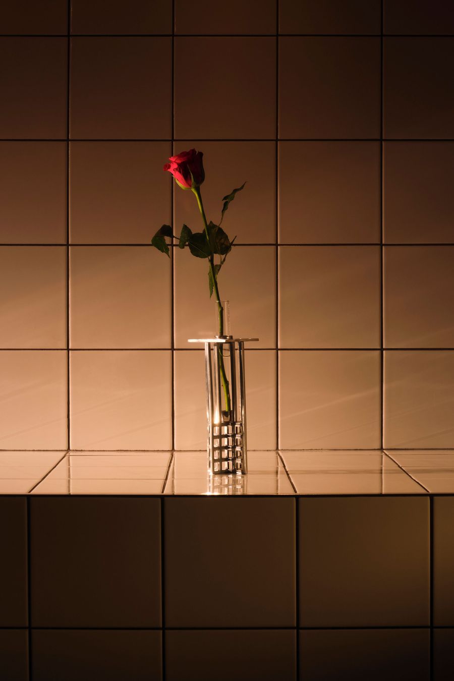 A single vibrant red rose stands elegantly in a clear, fluted glass vase with a metallic grid base, set against a pristine, light-tiled wall. The simple yet striking composition highlights the rose's beauty, reflecting Yatzer's appreciation for artistry and refined details, adding a touch of delicate charm to the contemporary setting. A single vibrant red rose stands elegantly in a clear, fluted glass vase with a metallic grid base, set against a pristine, light-tiled wall. The simple yet striking composition highlights the rose's beauty, reflecting Yatzer's appreciation for artistry and refined details, adding a touch of delicate charm to the contemporary setting.