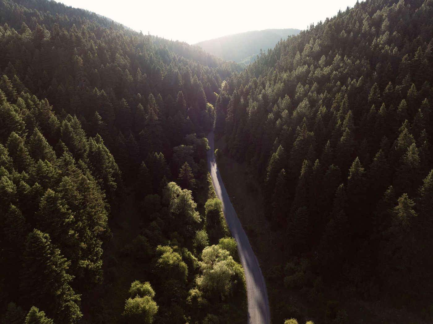 An aerial view captures a winding road cutting through a majestic, sun-dappled valley covered in dense, dark green pine forests. The light pierces through the trees in the distance, illuminating patches of lighter foliage and creating a sense of scale and natural grandeur, reflecting the hotel's remote and pristine setting. An aerial view captures a winding road cutting through a majestic, sun-dappled valley covered in dense, dark green pine forests. The light pierces through the trees in the distance, illuminating patches of lighter foliage and creating a sense of scale and natural grandeur, reflecting the hotel's remote and pristine setting.