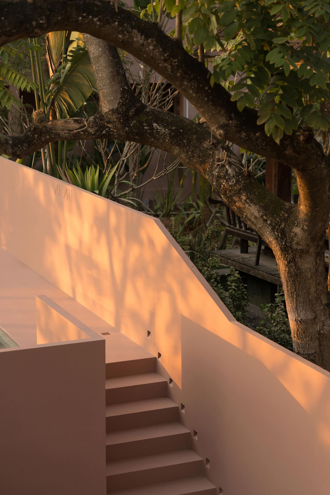 A serene outdoor scene featuring pink steps leading up, surrounded by lush foliage and a large tree casting gentle shadows.