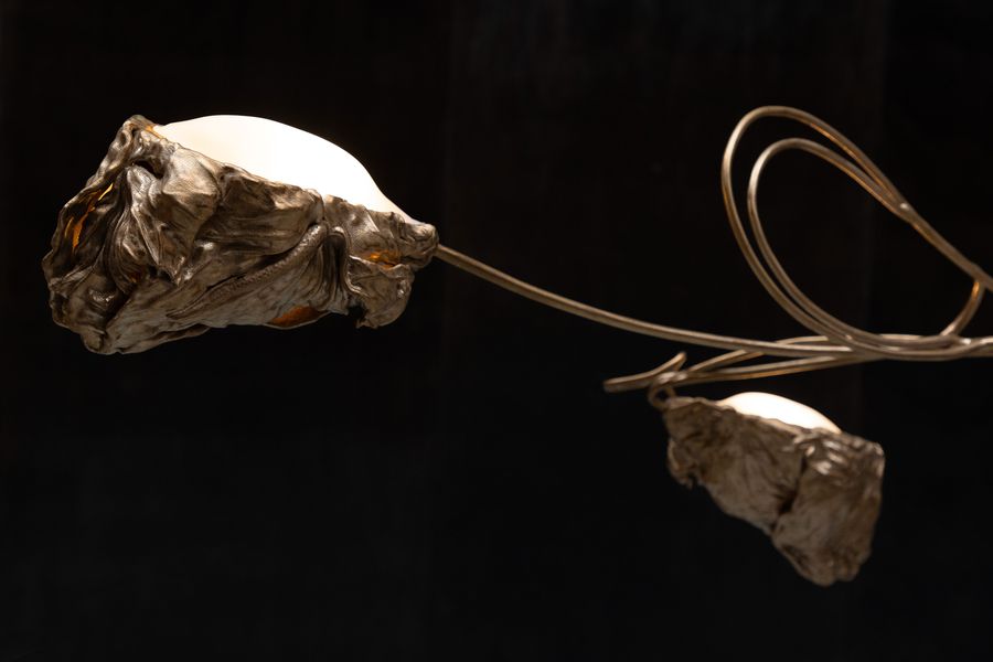 Designing with Time: Marcin Rusak’s Floral Alchemy