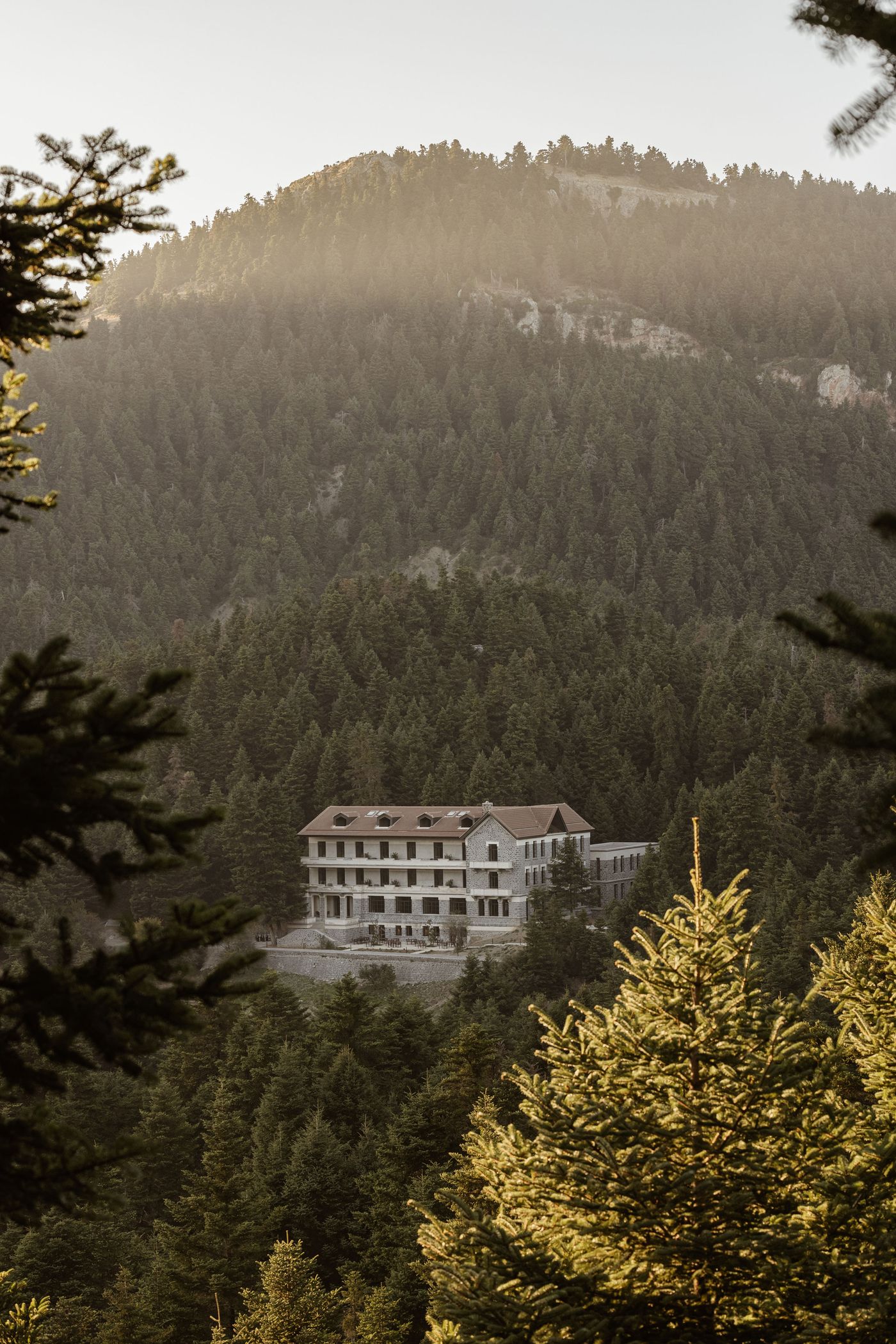 Dramatic aerial view of Manna Hotel nestled deep within the fir forests of Arcadia, Peloponnese, Greece, with morning light washing over the densely wooded mountain backdrop. The restored stone building stands in serene isolation, framed by sunlit pine branches. Dramatic aerial view of Manna Hotel nestled deep within the fir forests of Arcadia, Peloponnese, Greece, with morning light washing over the densely wooded mountain backdrop. The restored stone building stands in serene isolation, framed by sunlit pine branches.