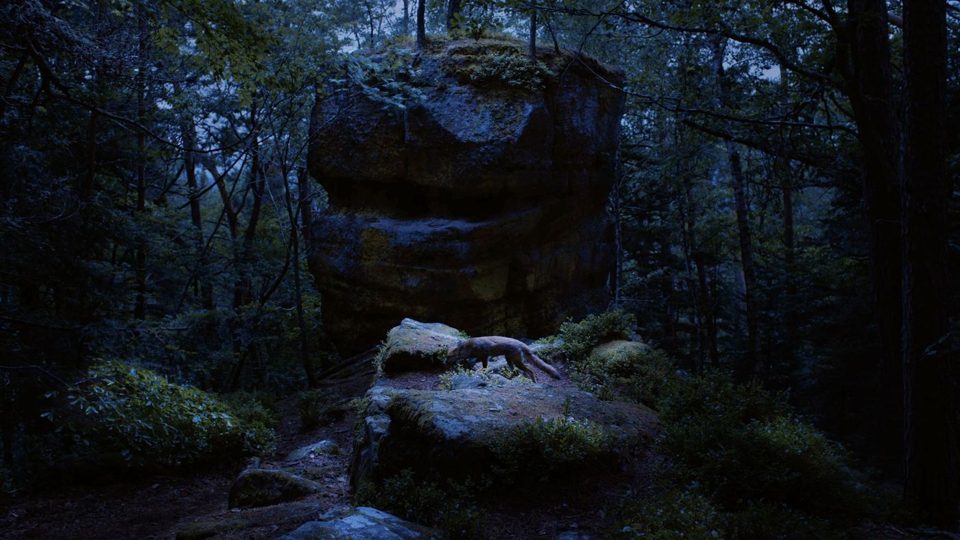 Laurent Grasso, Anima, film HR (in progress) © Laurent Grasso / ADAGP, Paris, 2022. Courtesy of the artist and Perrotin.