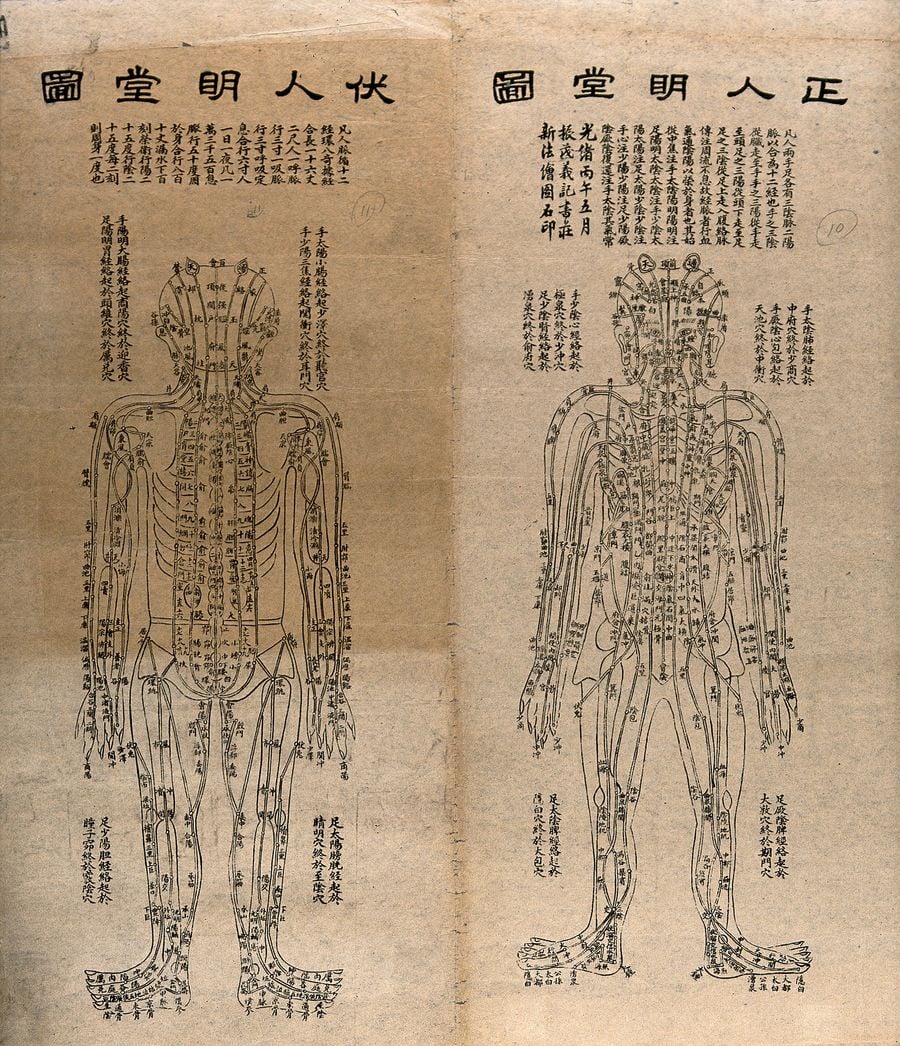Ancient Chinese medical diagram depicting human anatomy with labeled meridians, showcasing acupuncture points and their pathways. Ancient Chinese medical diagram depicting human anatomy with labeled meridians, showcasing acupuncture points and their pathways.