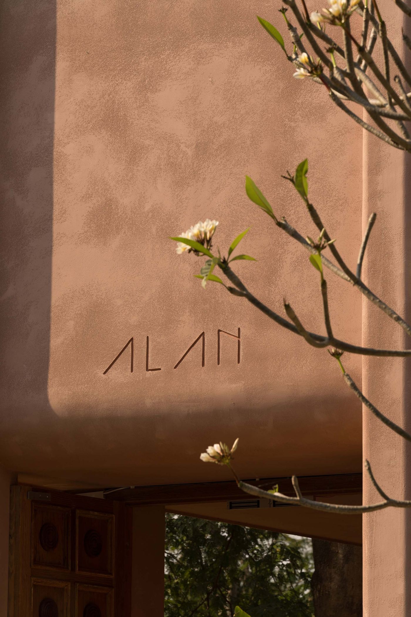 Close-up of a textured pink wall featuring the engraved name "ALAN," with delicate flowers and leaves in the foreground.