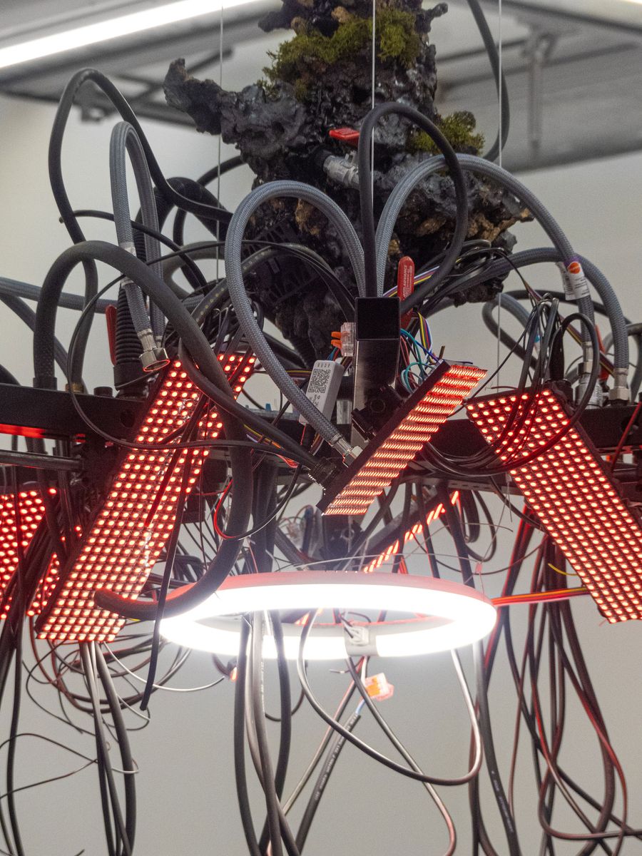 An abstract installation featuring tangled wires, red LED lights, and a central illuminated ring, with a moss-covered structure above. An abstract installation featuring tangled wires, red LED lights, and a central illuminated ring, with a moss-covered structure above.