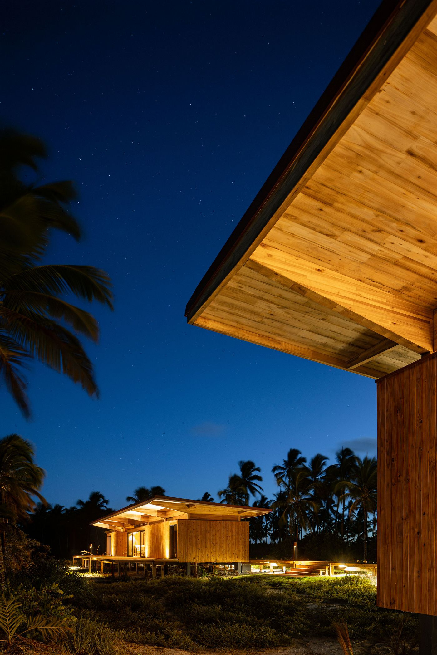 From a low angle, the expansive wooden roof of a modular building extends over a softly lit structure, nestled amongst dark tropical foliage and silhouetted palm trees under a star-dusted night sky. The design emphasizes natural materials and a deep connection to the environment.