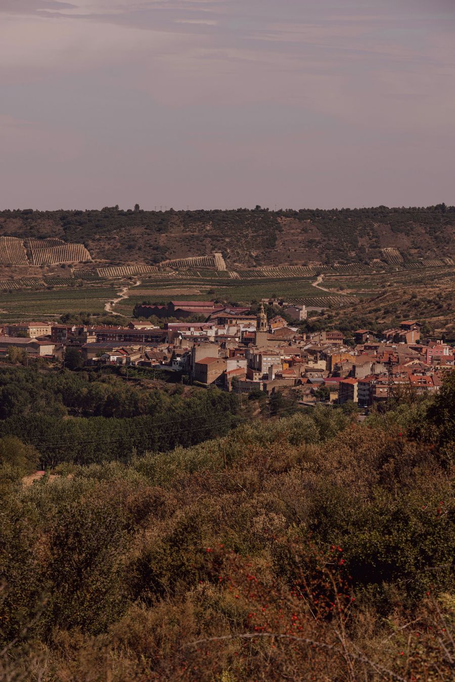 A panoramic view of a quaint village nestled in lush green hills, surrounded by vineyards and rolling landscapes under a soft pink sky. A panoramic view of a quaint village nestled in lush green hills, surrounded by vineyards and rolling landscapes under a soft pink sky.