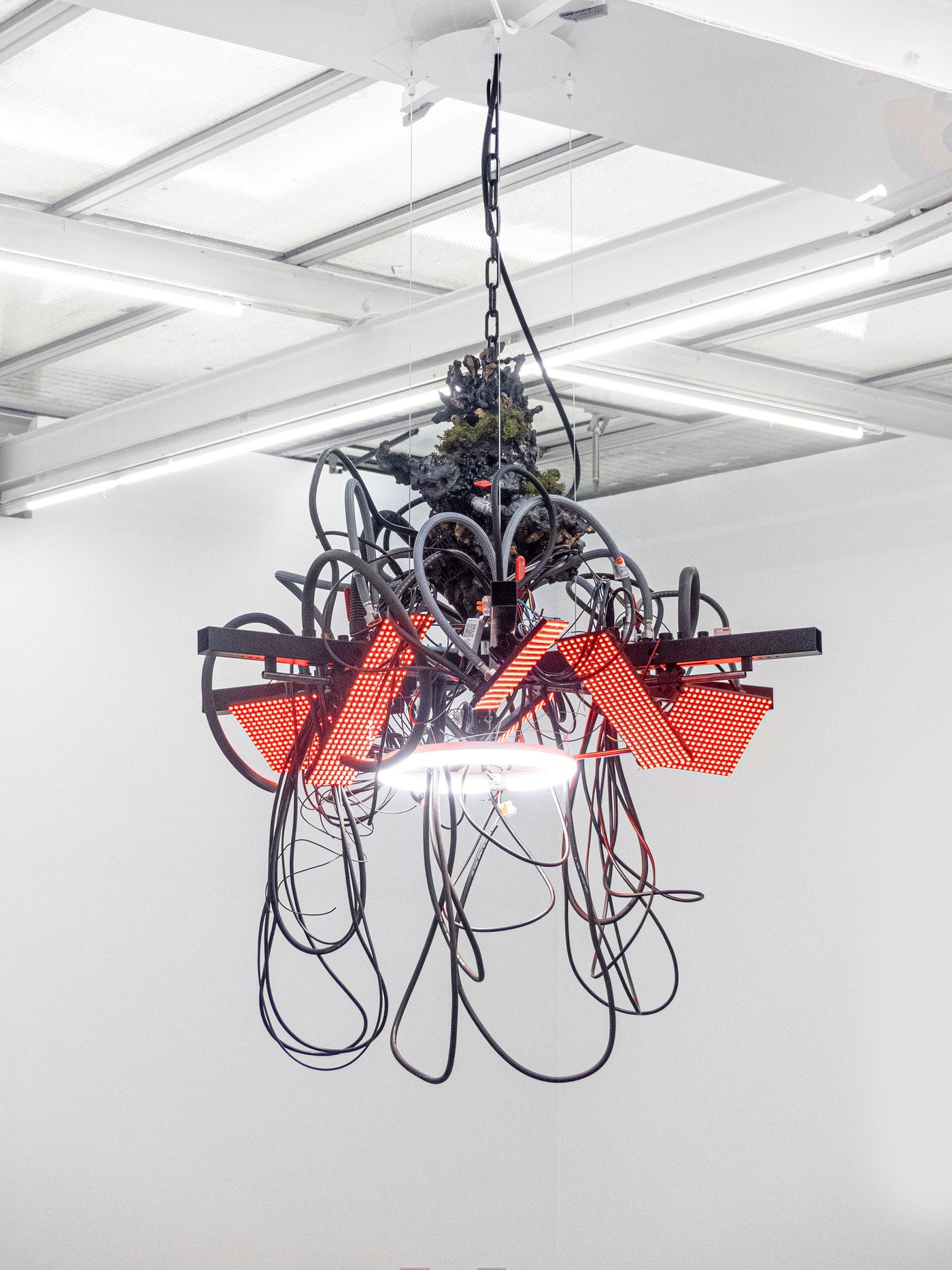 A complex chandelier made of tangled wires and red LED lights, featuring a textured, organic form at the top, suspended in a minimalist space. A complex chandelier made of tangled wires and red LED lights, featuring a textured, organic form at the top, suspended in a minimalist space.
