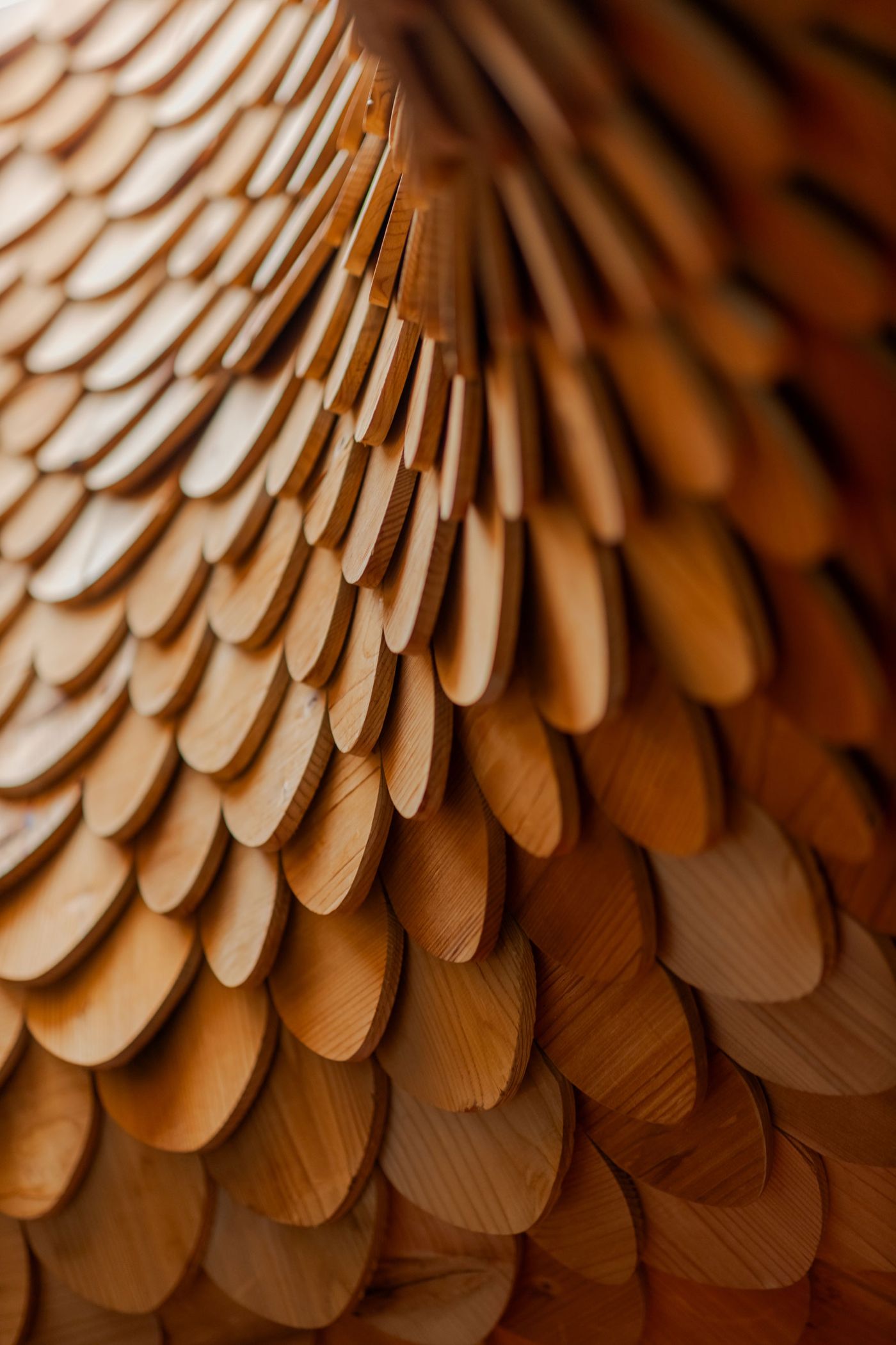 Close-up of layered wooden scales, showcasing a rich, warm hue and intricate textures, resembling natural patterns.