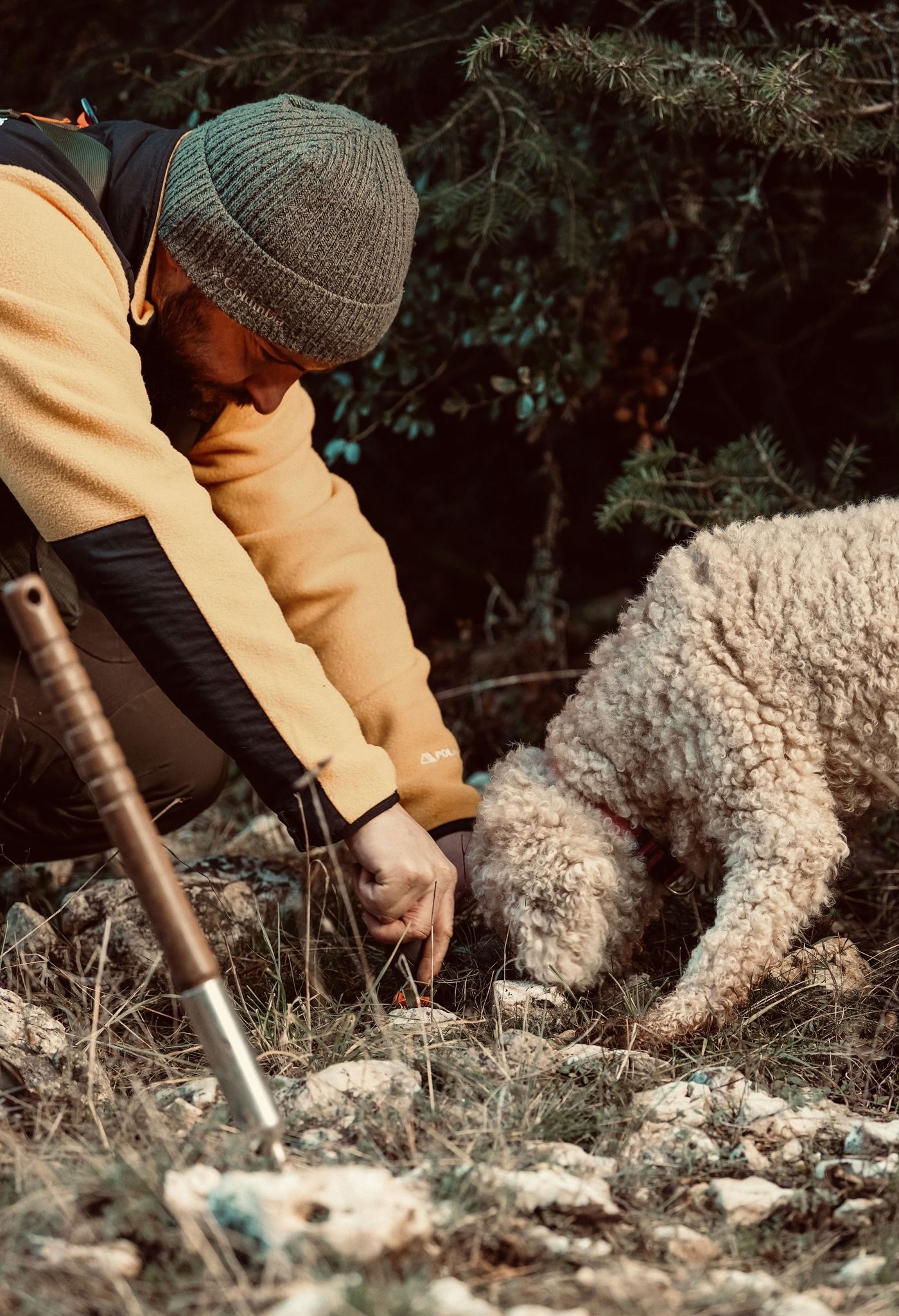 A man in outdoor gear, wearing a beanie and a yellow and black jacket, kneels down to examine something on the ground with a tool, accompanied by a fluffy, light-colored dog. The natural, rugged terrain suggests an activity like foraging or exploring, highlighting a connection to the wild landscape. A man in outdoor gear, wearing a beanie and a yellow and black jacket, kneels down to examine something on the ground with a tool, accompanied by a fluffy, light-colored dog. The natural, rugged terrain suggests an activity like foraging or exploring, highlighting a connection to the wild landscape.