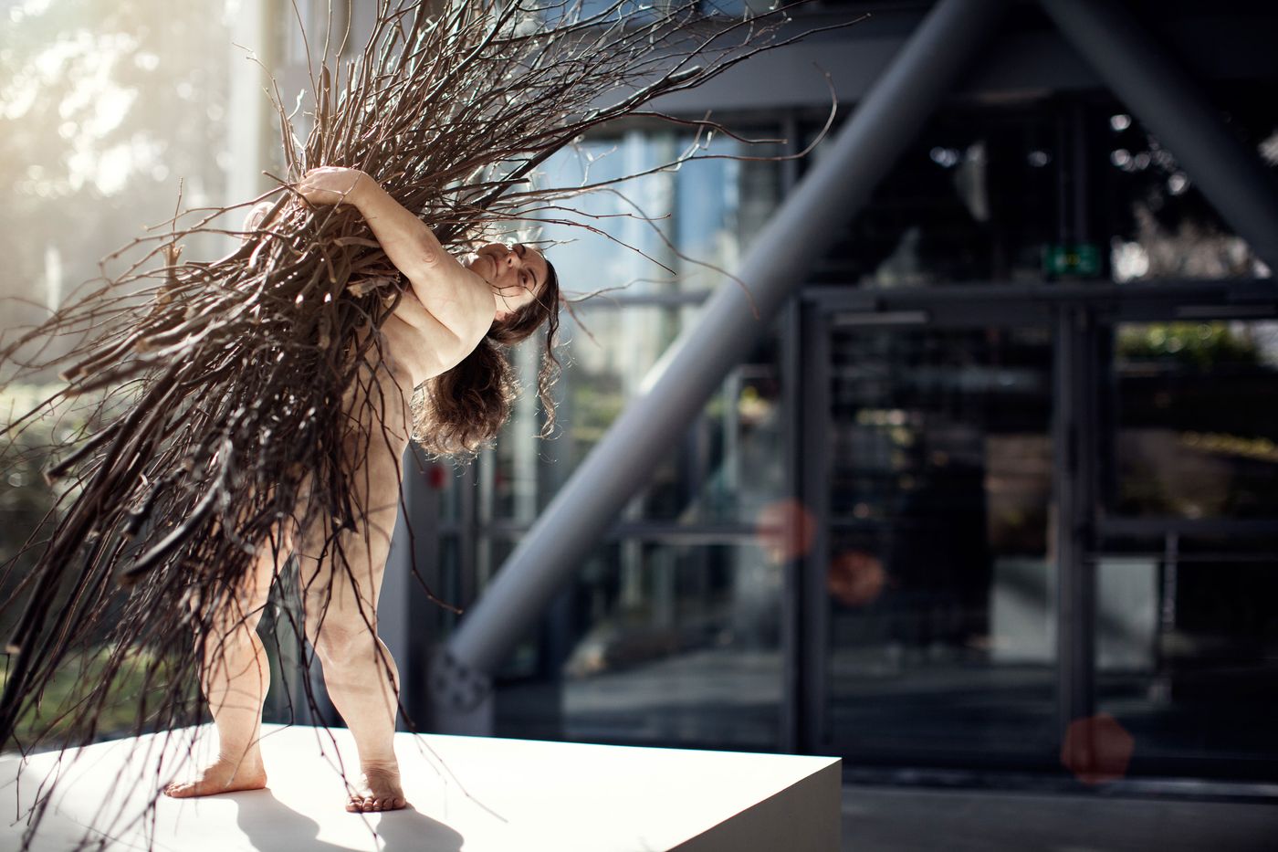 Photo © Thomas Salva / Lumento for the Fondation Cartier pour l’art contemporain, 2013.