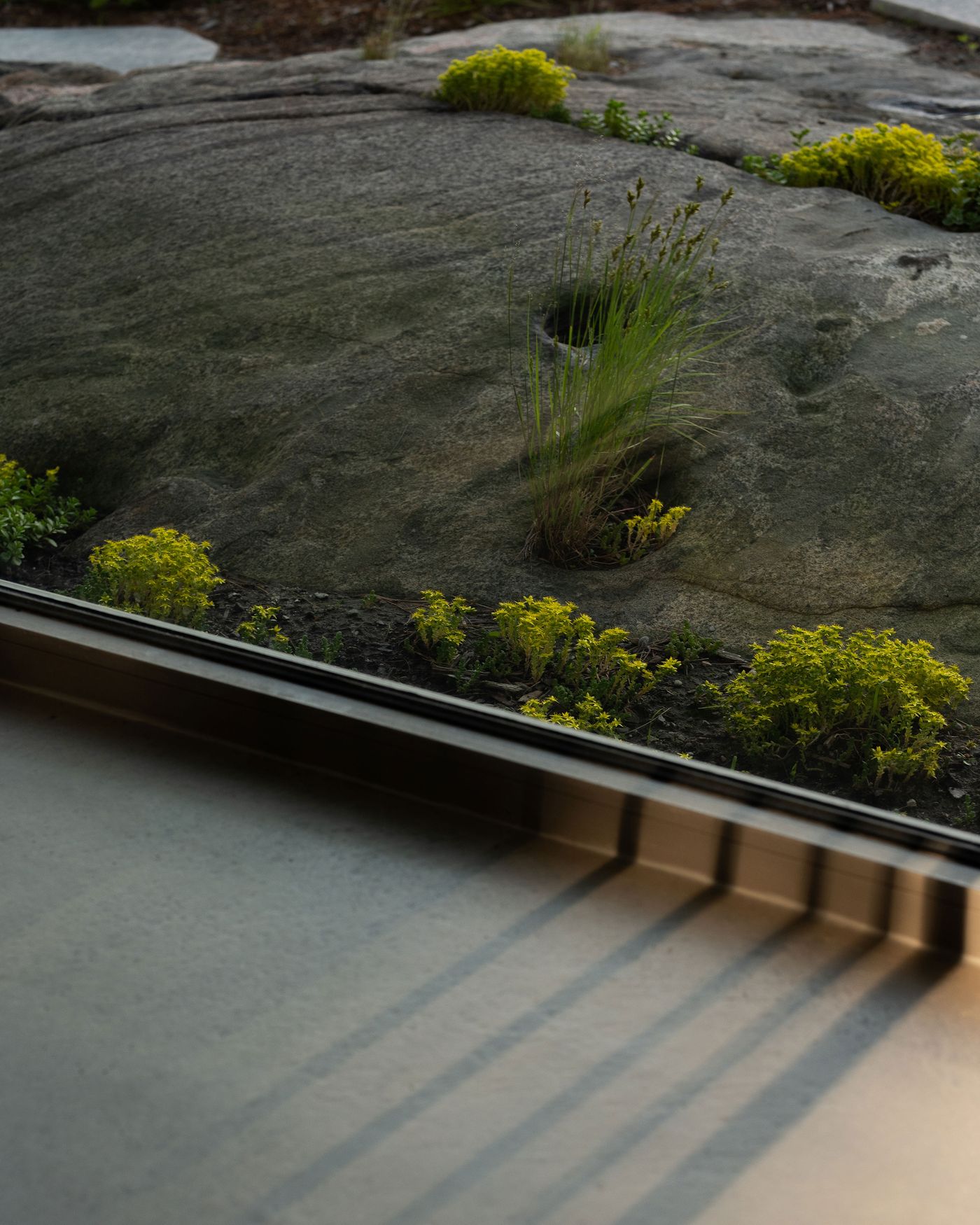 A view through a window shows a rocky landscape with green plants and yellow flowers, casting long shadows onto the floor.
