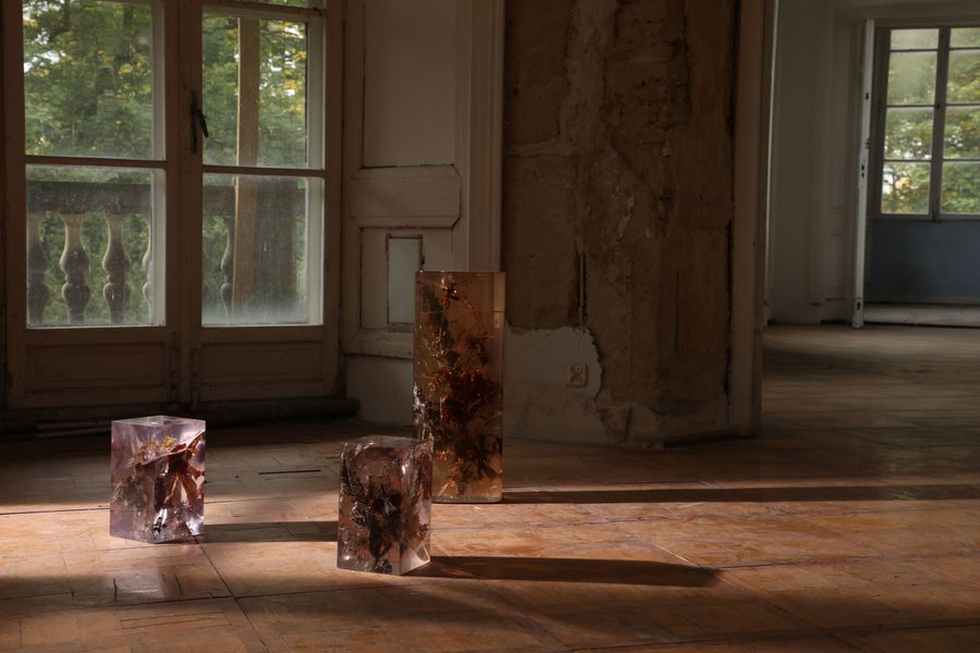 Designing with Time: Marcin Rusak’s Floral Alchemy