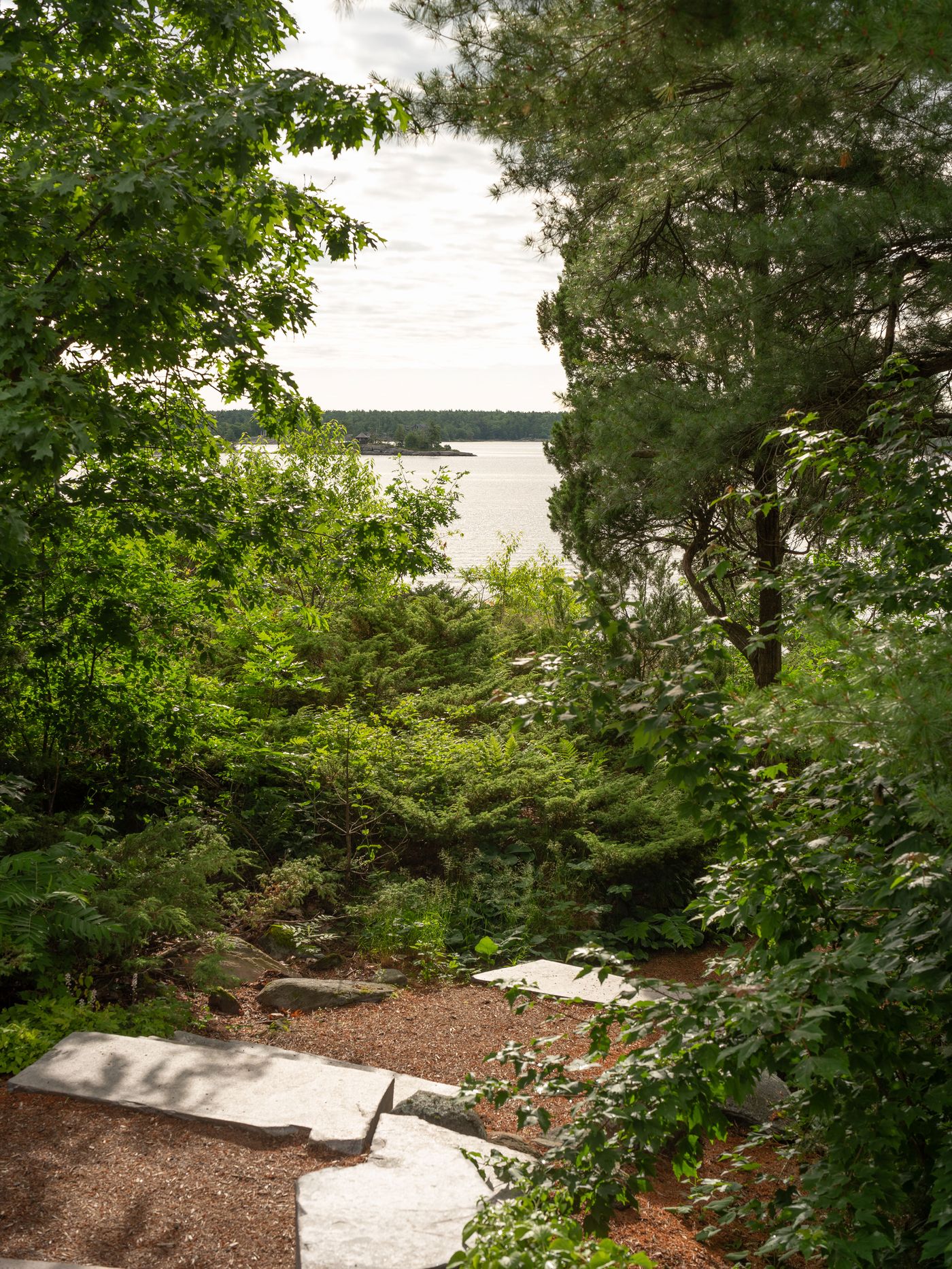 Lush greenery frames a tranquil lake view, with stone pathways winding through the foliage under a cloudy sky. Lush greenery frames a tranquil lake view, with stone pathways winding through the foliage under a cloudy sky.
