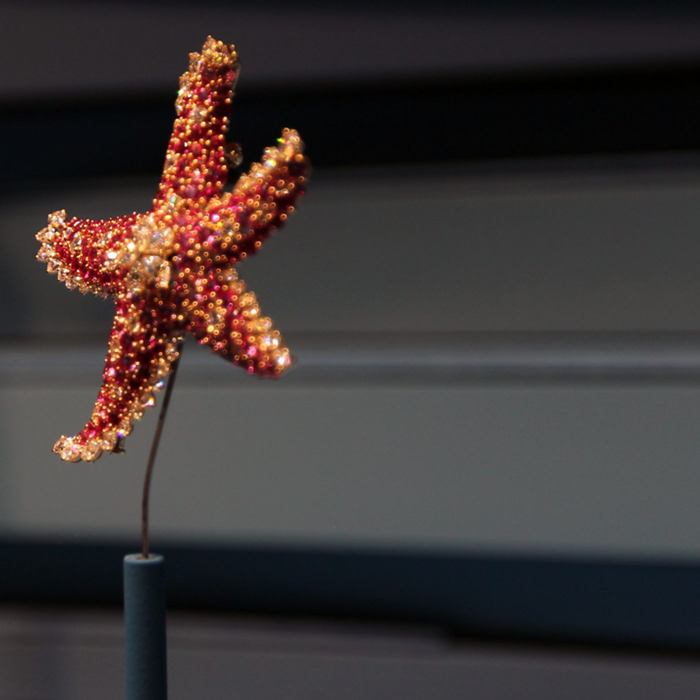 A Journey Across the SEVEN SEAS with Van Cleef & Arpels