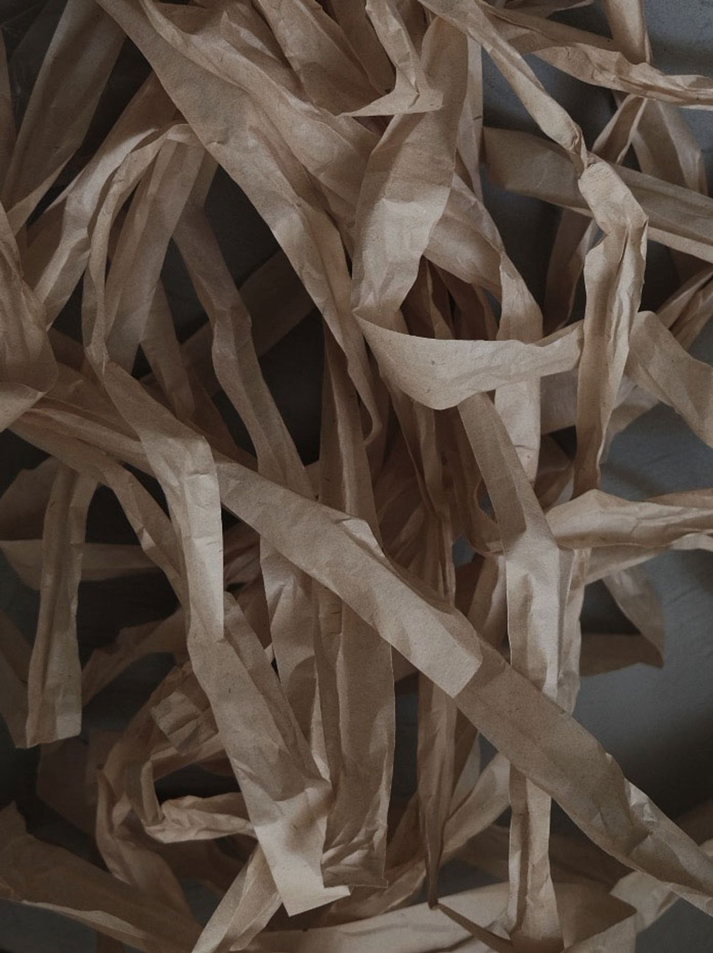 A close-up of crumpled, brown kraft paper strips tangled together, showcasing a textured, organic pattern. A close-up of crumpled, brown kraft paper strips tangled together, showcasing a textured, organic pattern.