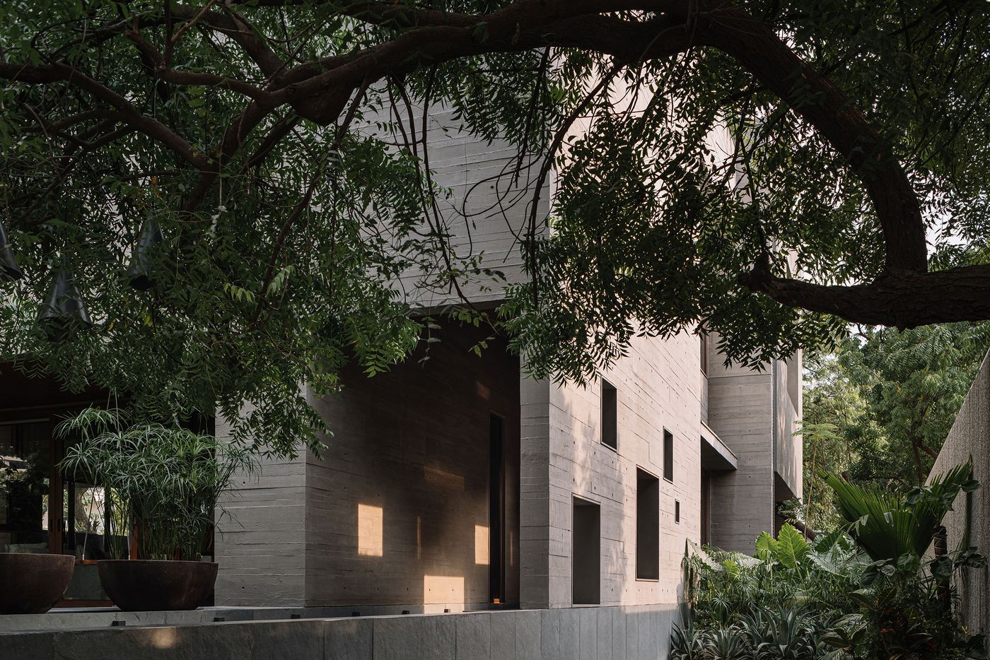 The MS House's brutalist facade is artfully integrated with its natural surroundings. Textured concrete walls with small, irregularly placed windows are partially obscured by the lush canopy of mature trees and vibrant green foliage. Large planters on a lower terrace add to the biophilic emphasis, demonstrating a harmonious coexistence between architecture and nature.