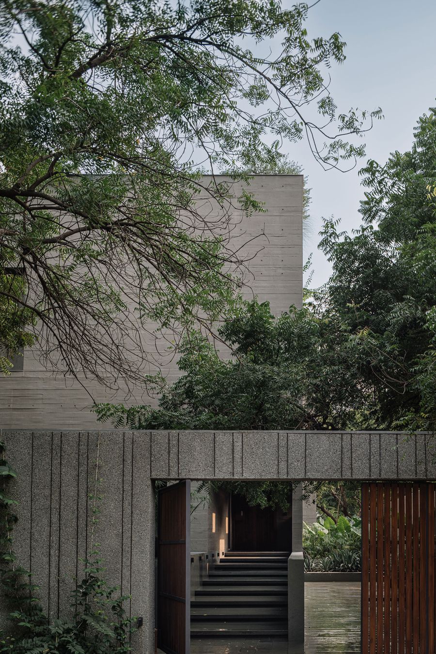 An inviting entrance to the MS House features a grand concrete archway leading to dark steps and a wooden gate. The raw, textured concrete walls are complemented by lush surrounding trees and foliage, creating a sense of arrival that blends modern brutalist architecture with natural, organic elements.