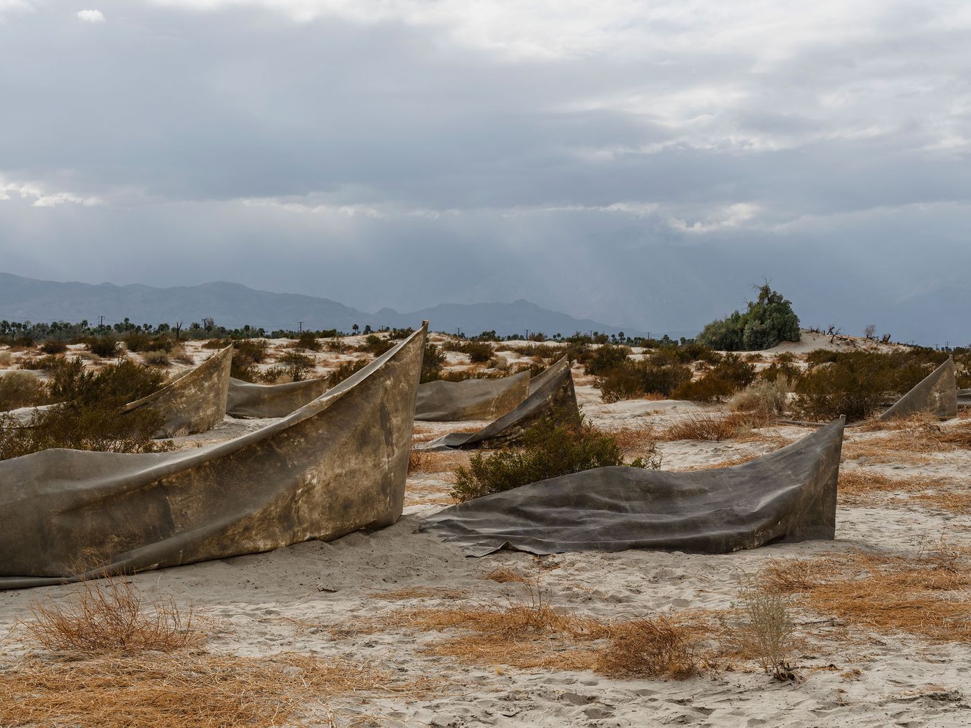 Crumpled tarpaulins scattered across a dry, barren landscape, with low shrubs and mountains in the background under an overcast sky.